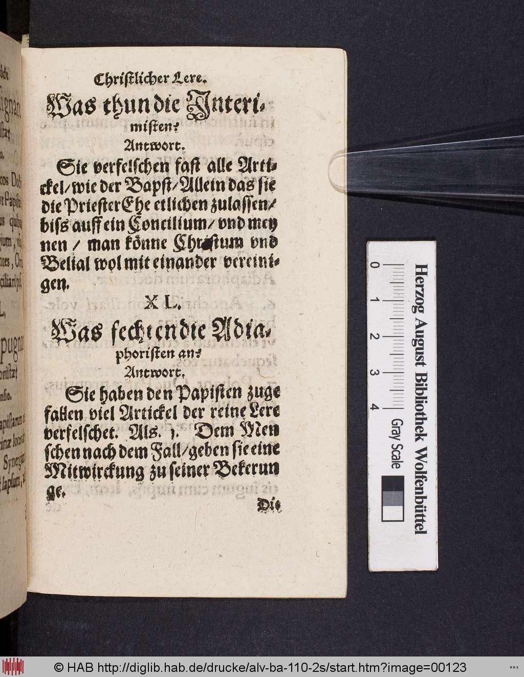 http://diglib.hab.de/drucke/alv-ba-110-2s/00123.jpg