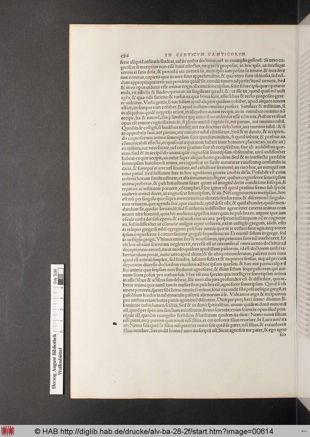 http://diglib.hab.de/drucke/alv-ba-28-2f/00614.jpg