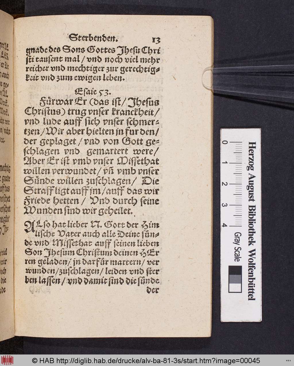 http://diglib.hab.de/drucke/alv-ba-81-3s/00045.jpg
