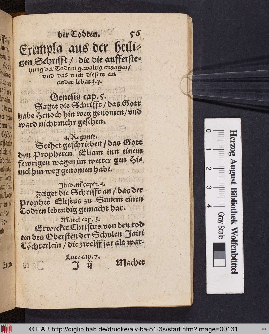 http://diglib.hab.de/drucke/alv-ba-81-3s/00131.jpg