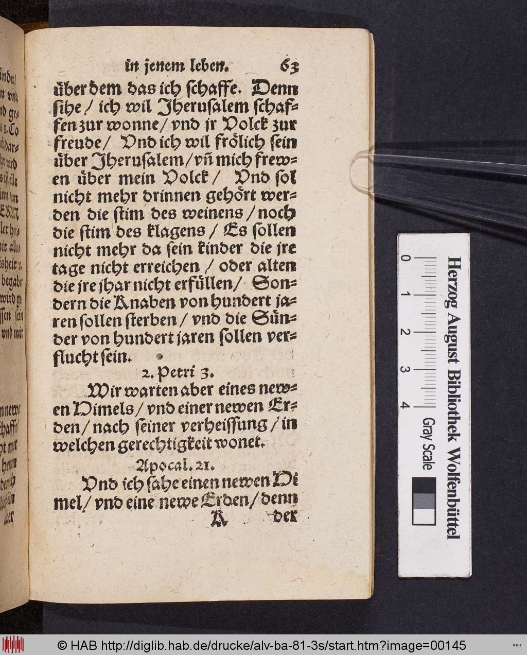 http://diglib.hab.de/drucke/alv-ba-81-3s/00145.jpg