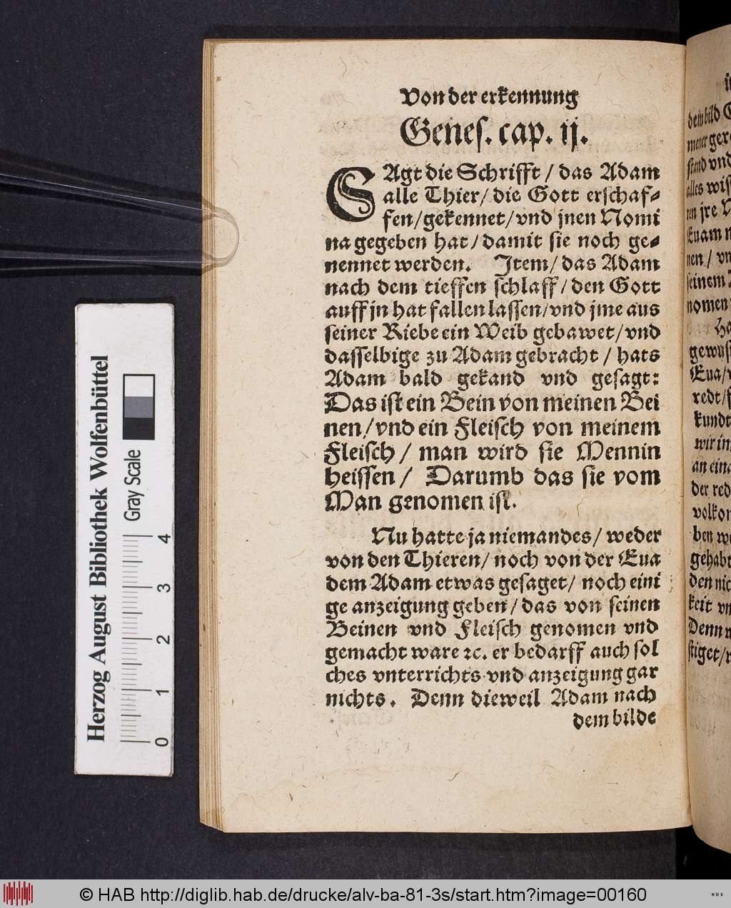 http://diglib.hab.de/drucke/alv-ba-81-3s/00160.jpg