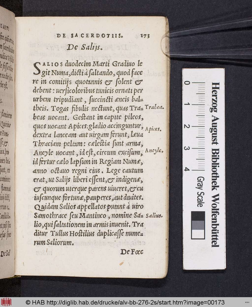 http://diglib.hab.de/drucke/alv-bb-276-2s/00173.jpg