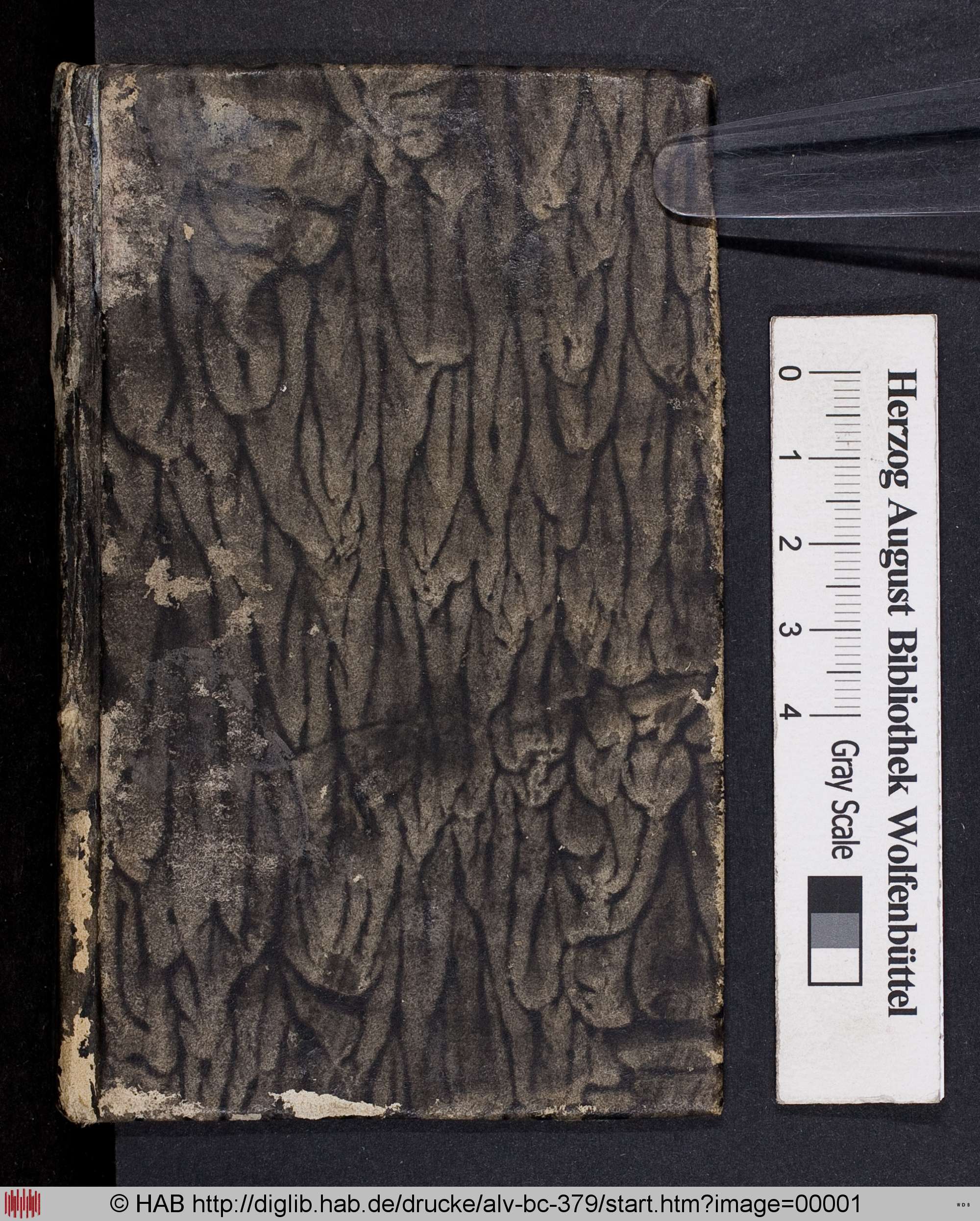 http://diglib.hab.de/drucke/alv-bc-379/max/00001.jpg