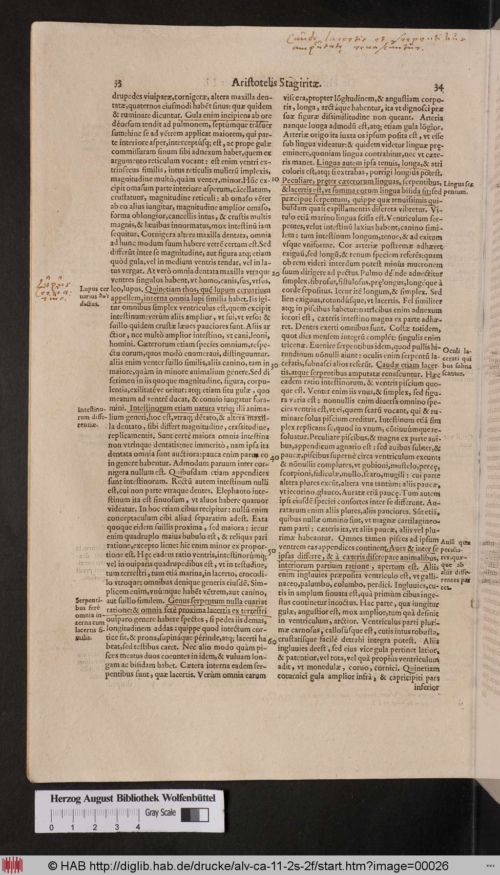 http://diglib.hab.de/drucke/alv-ca-11-2s-2f/00026.jpg