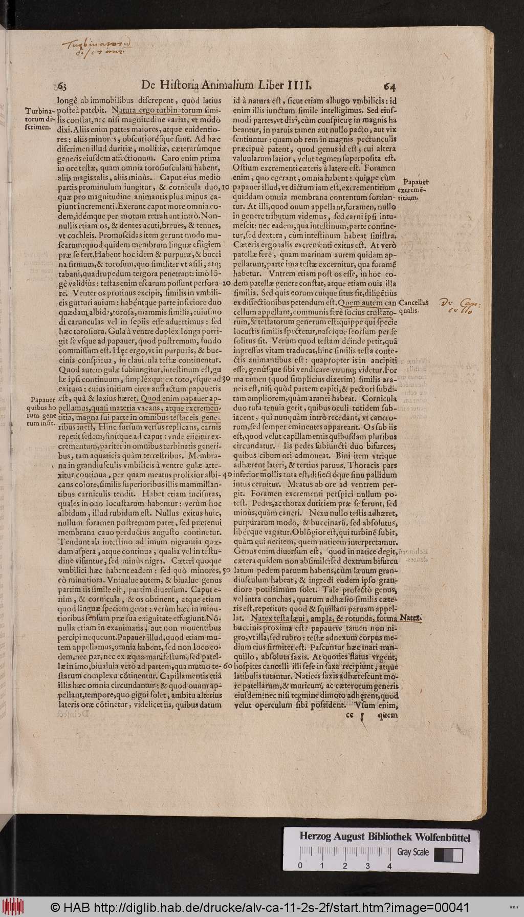 http://diglib.hab.de/drucke/alv-ca-11-2s-2f/00041.jpg