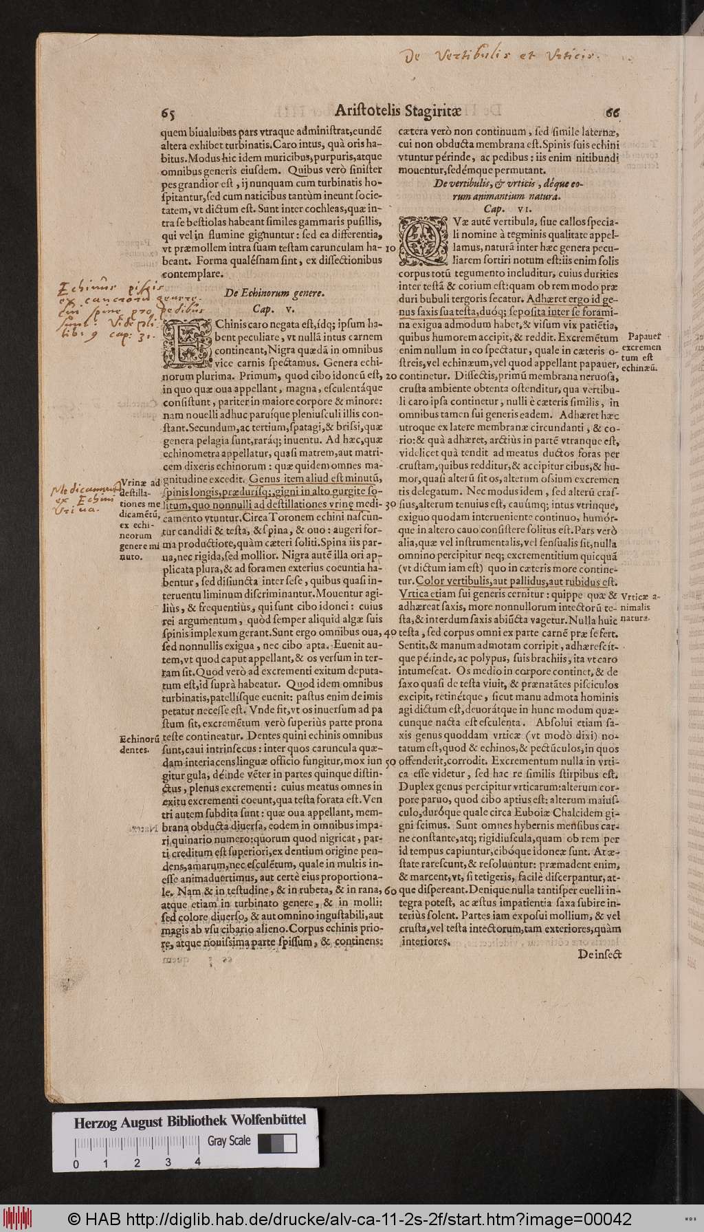 http://diglib.hab.de/drucke/alv-ca-11-2s-2f/00042.jpg