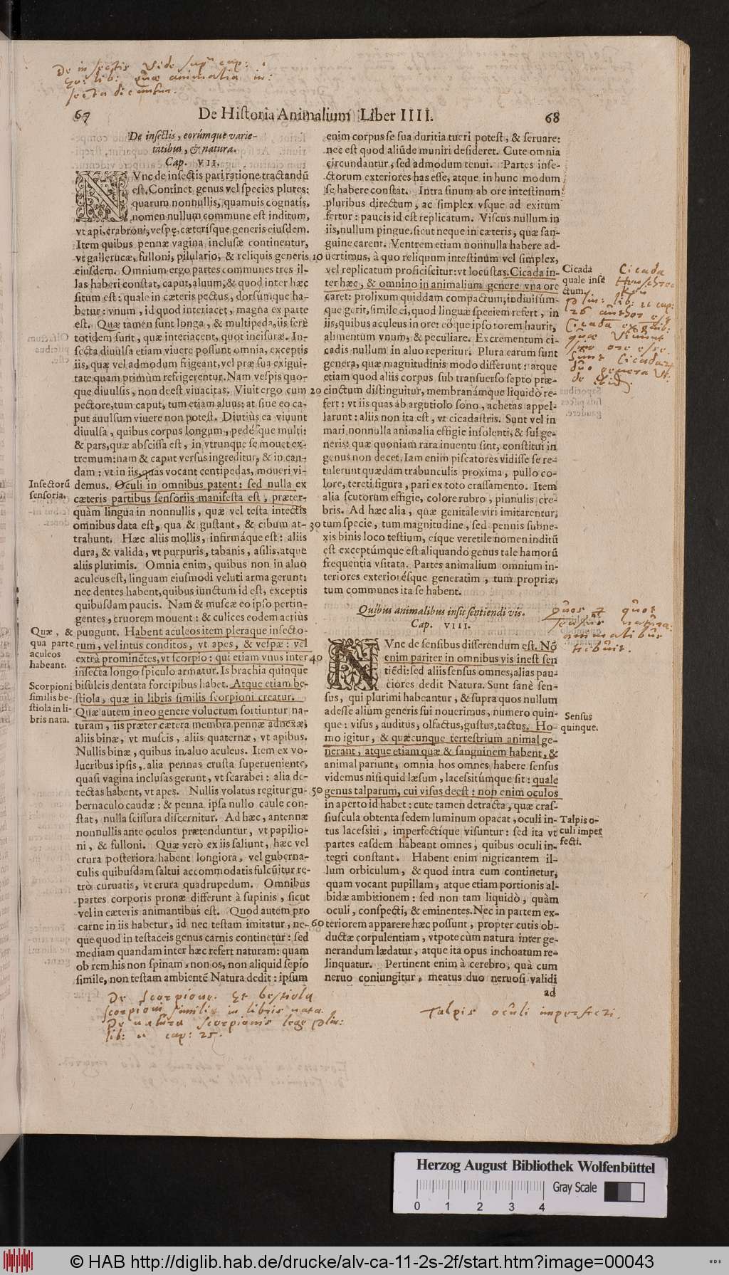 http://diglib.hab.de/drucke/alv-ca-11-2s-2f/00043.jpg