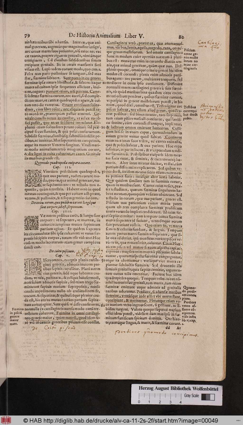 http://diglib.hab.de/drucke/alv-ca-11-2s-2f/00049.jpg