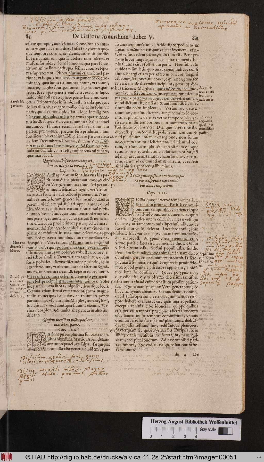 http://diglib.hab.de/drucke/alv-ca-11-2s-2f/00051.jpg