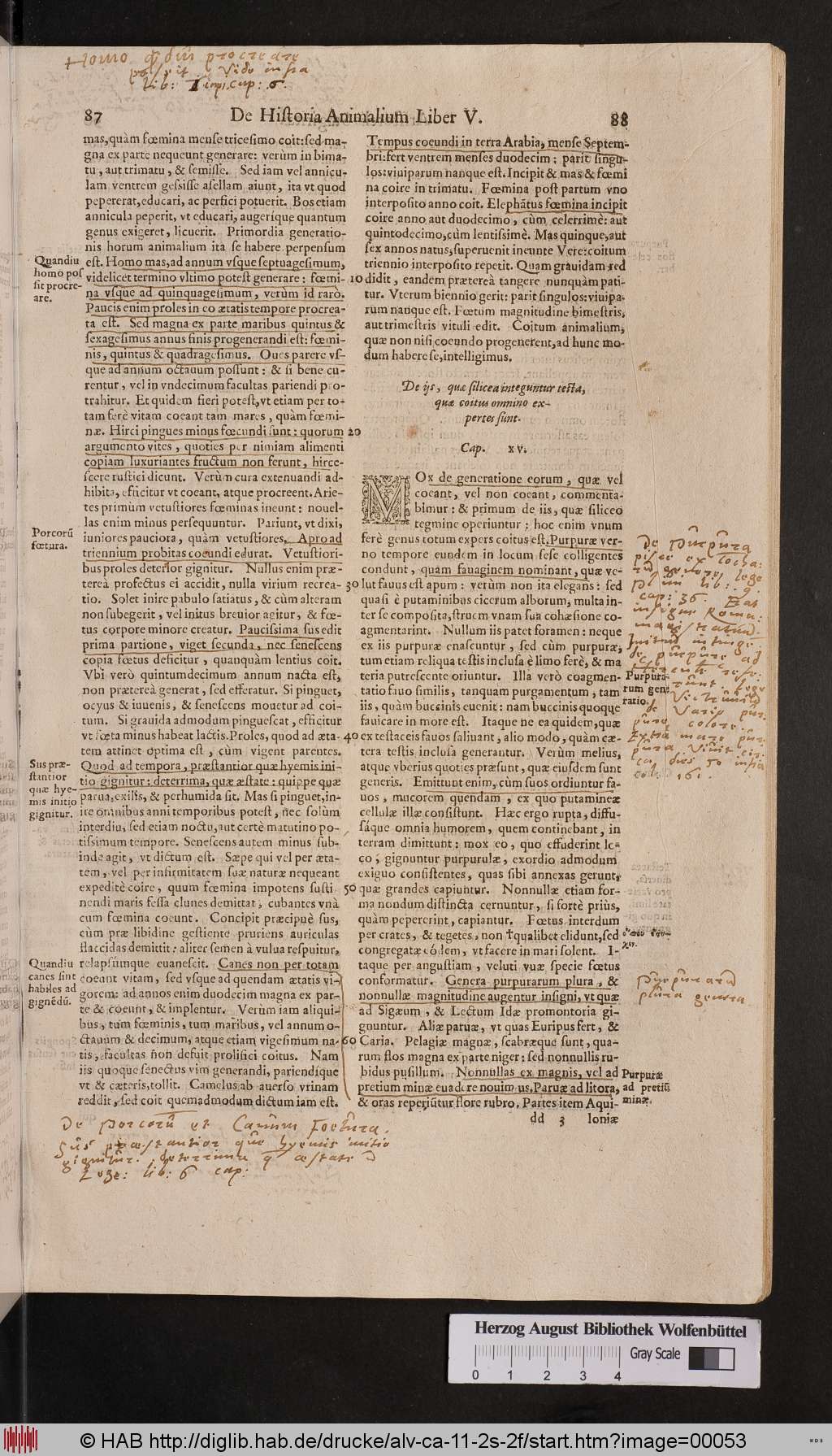 http://diglib.hab.de/drucke/alv-ca-11-2s-2f/00053.jpg