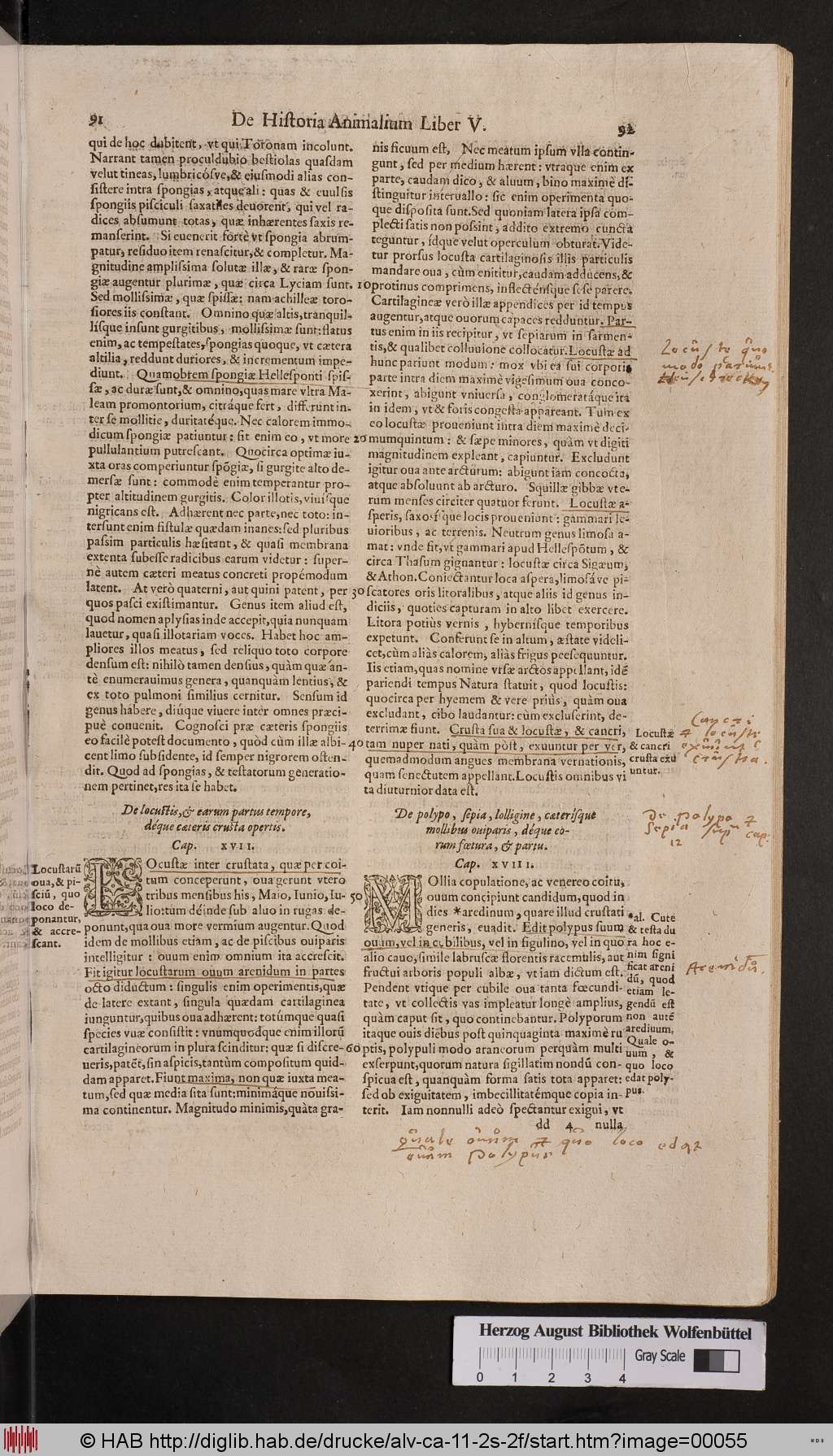 http://diglib.hab.de/drucke/alv-ca-11-2s-2f/00055.jpg