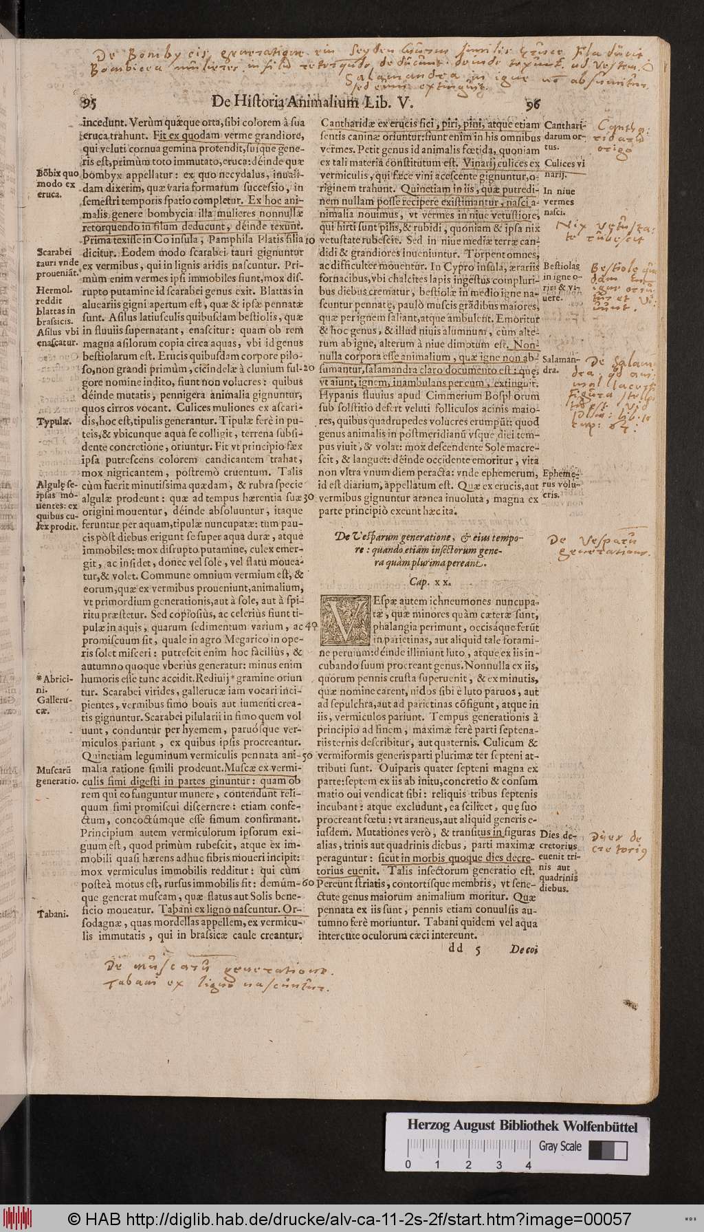 http://diglib.hab.de/drucke/alv-ca-11-2s-2f/00057.jpg