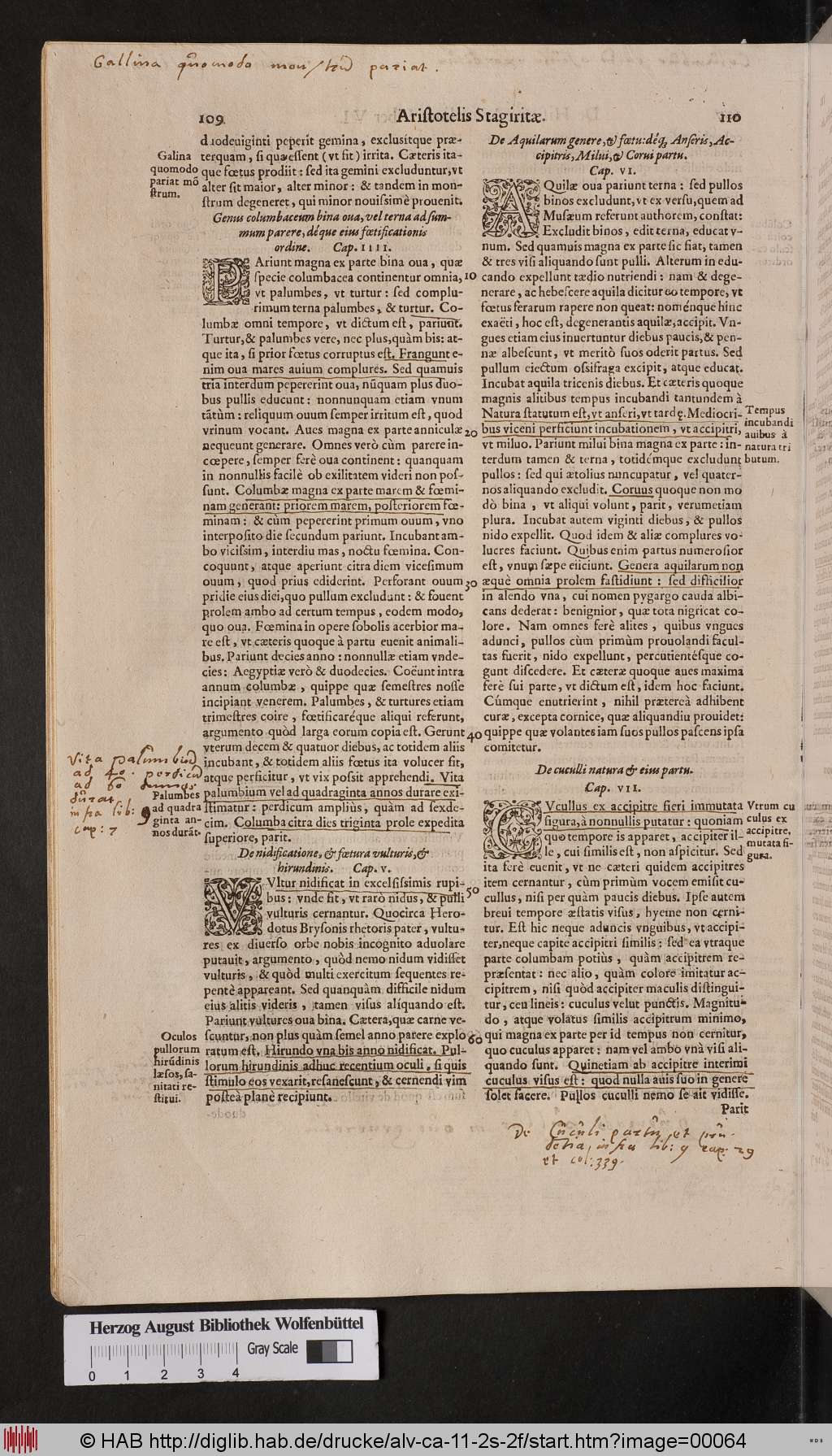 http://diglib.hab.de/drucke/alv-ca-11-2s-2f/00064.jpg