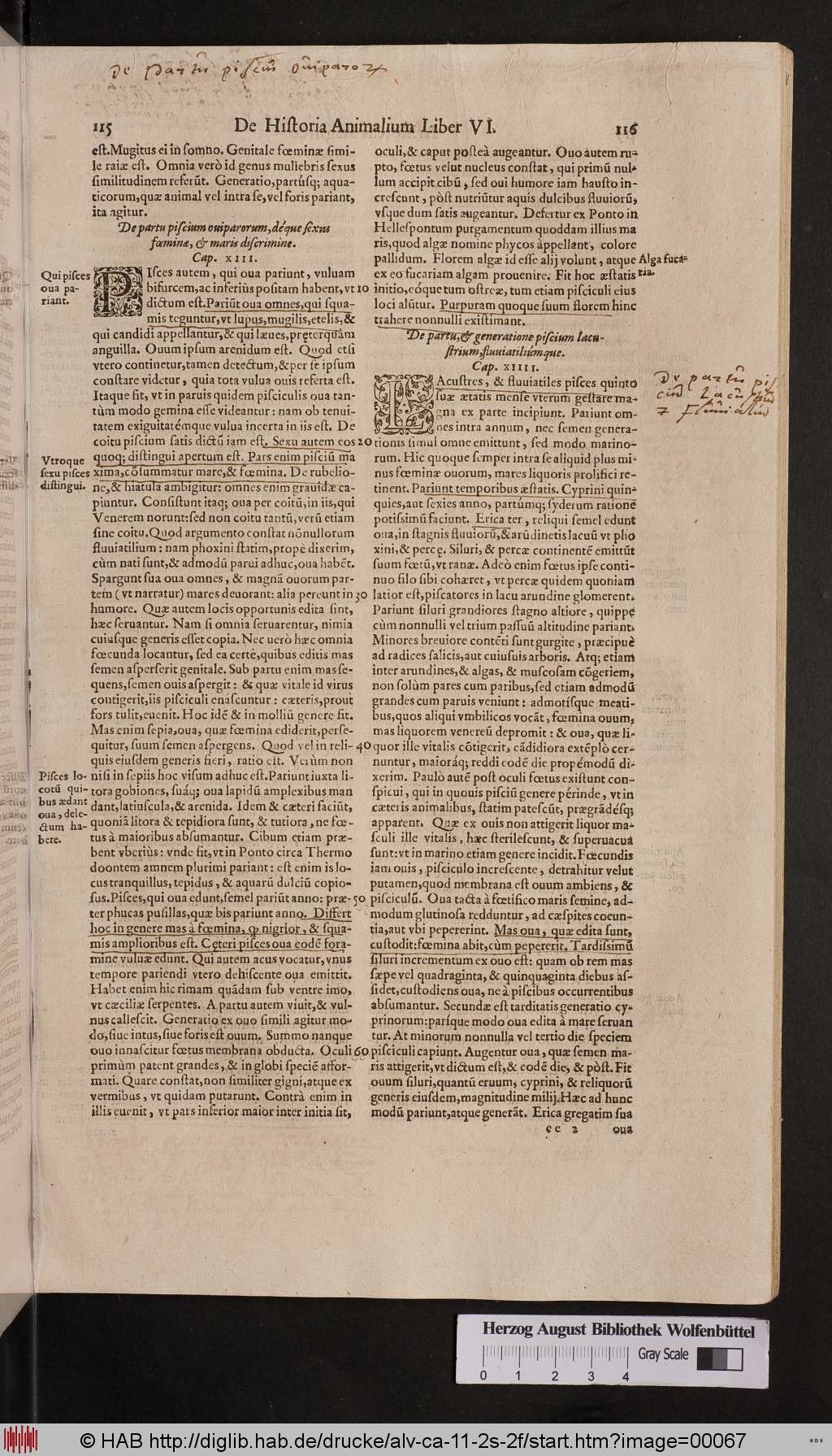 http://diglib.hab.de/drucke/alv-ca-11-2s-2f/00067.jpg