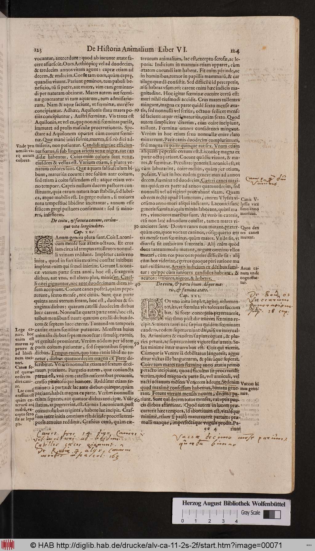 http://diglib.hab.de/drucke/alv-ca-11-2s-2f/00071.jpg