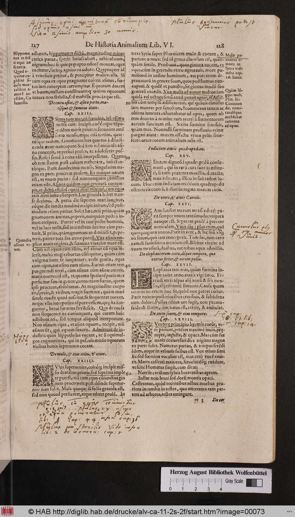 http://diglib.hab.de/drucke/alv-ca-11-2s-2f/00073.jpg