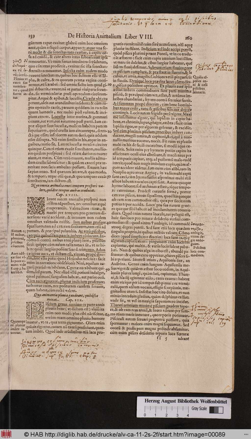 http://diglib.hab.de/drucke/alv-ca-11-2s-2f/00089.jpg