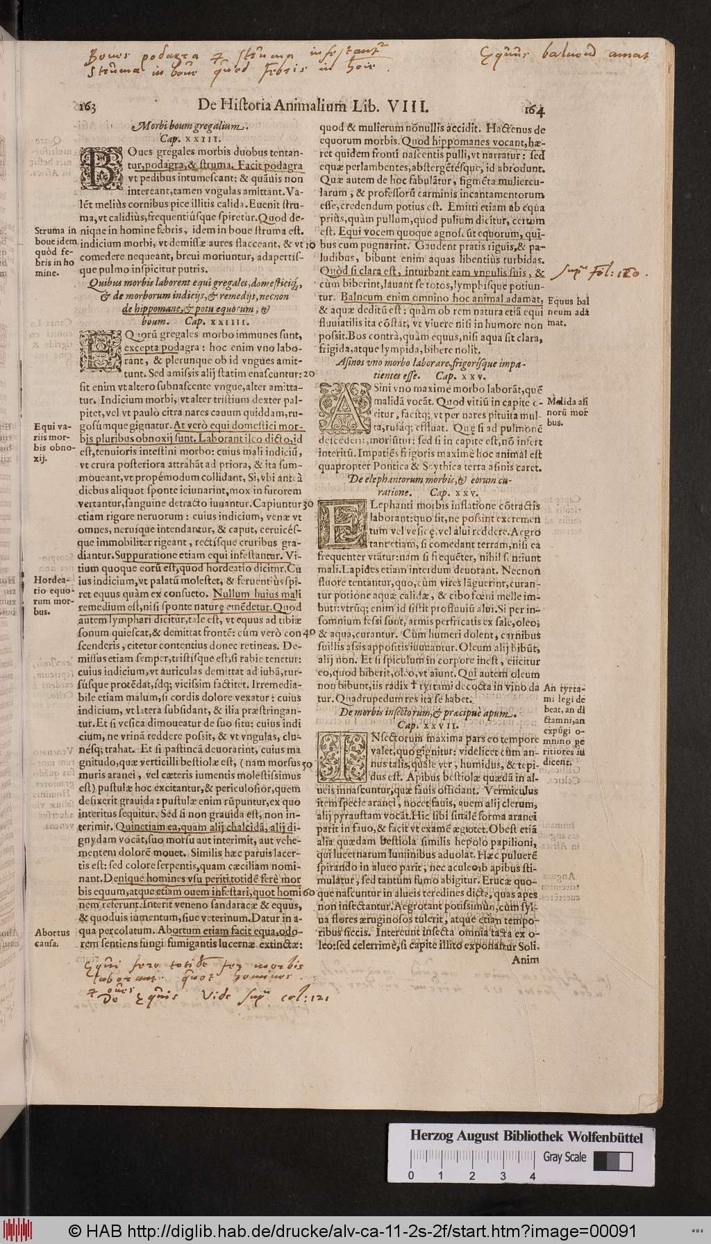 http://diglib.hab.de/drucke/alv-ca-11-2s-2f/00091.jpg