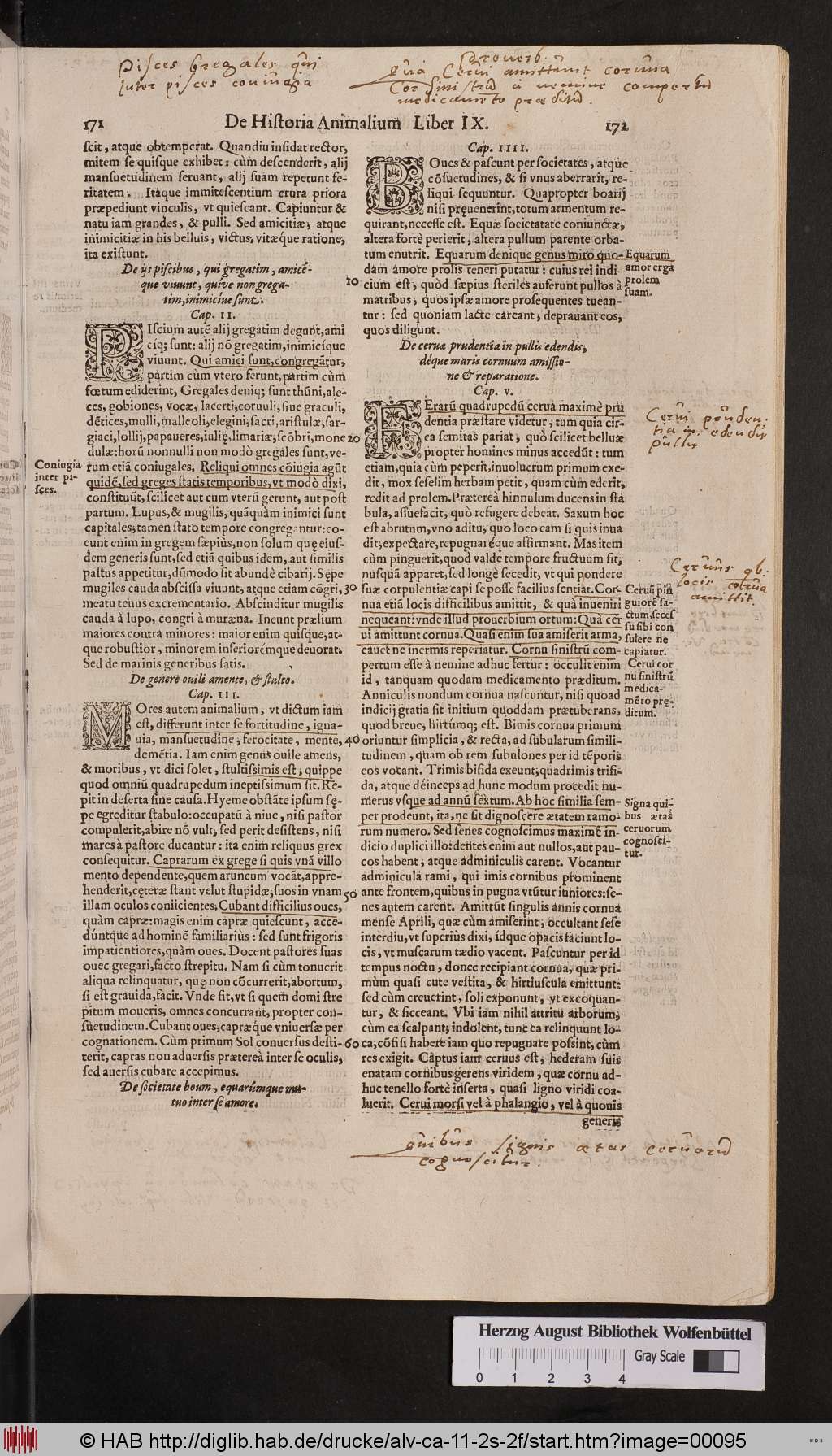 http://diglib.hab.de/drucke/alv-ca-11-2s-2f/00095.jpg