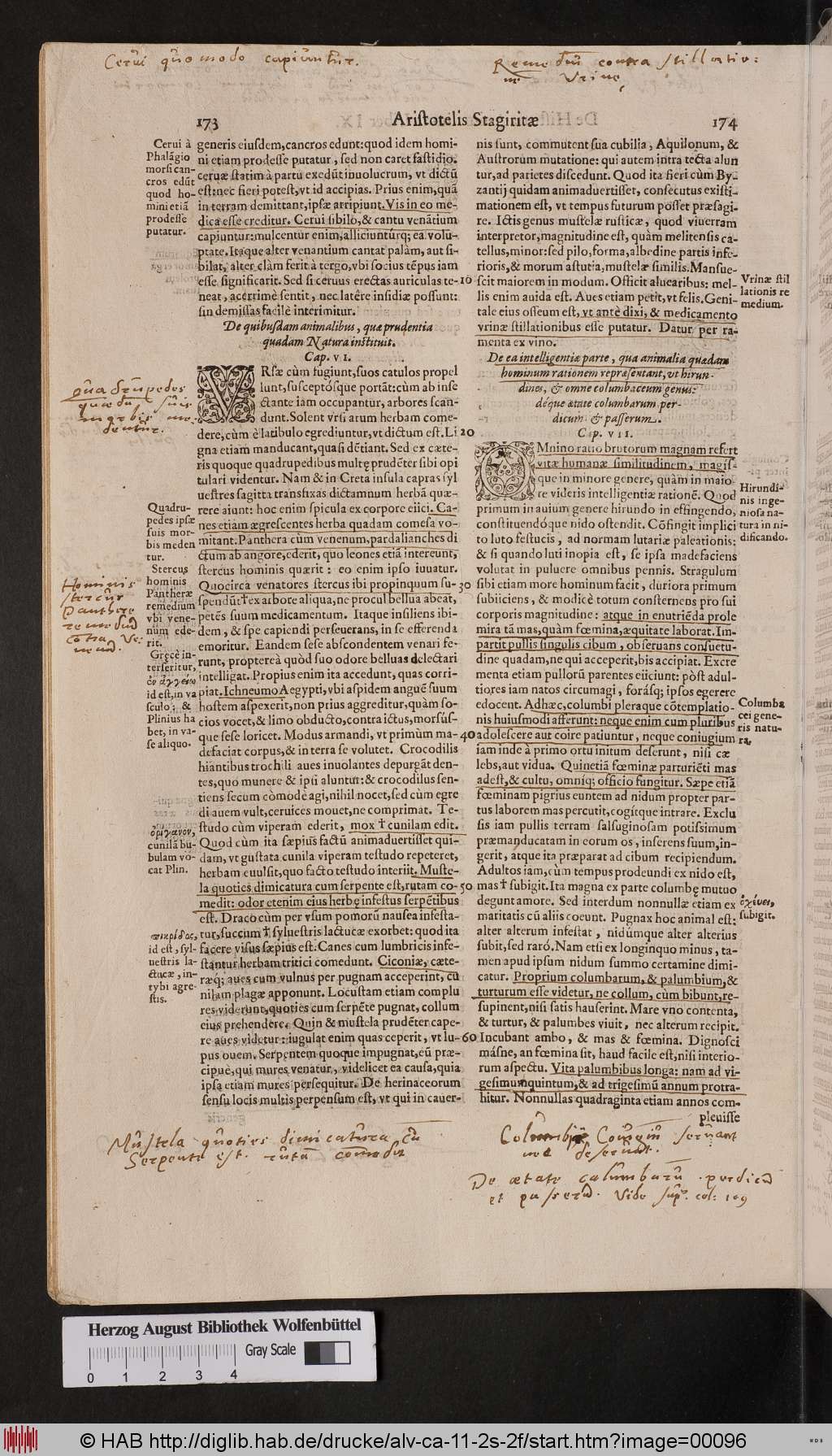 http://diglib.hab.de/drucke/alv-ca-11-2s-2f/00096.jpg