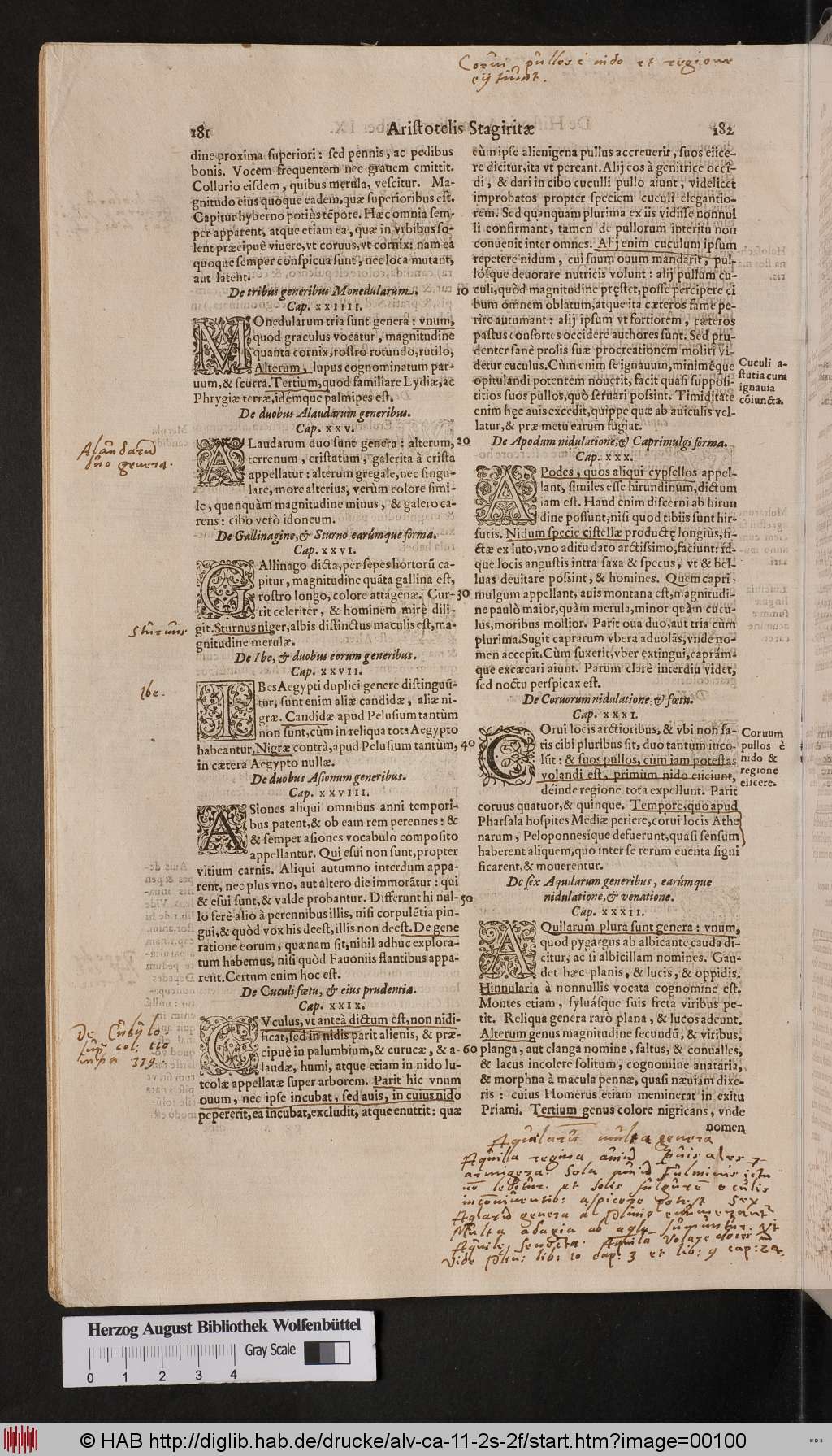 http://diglib.hab.de/drucke/alv-ca-11-2s-2f/00100.jpg