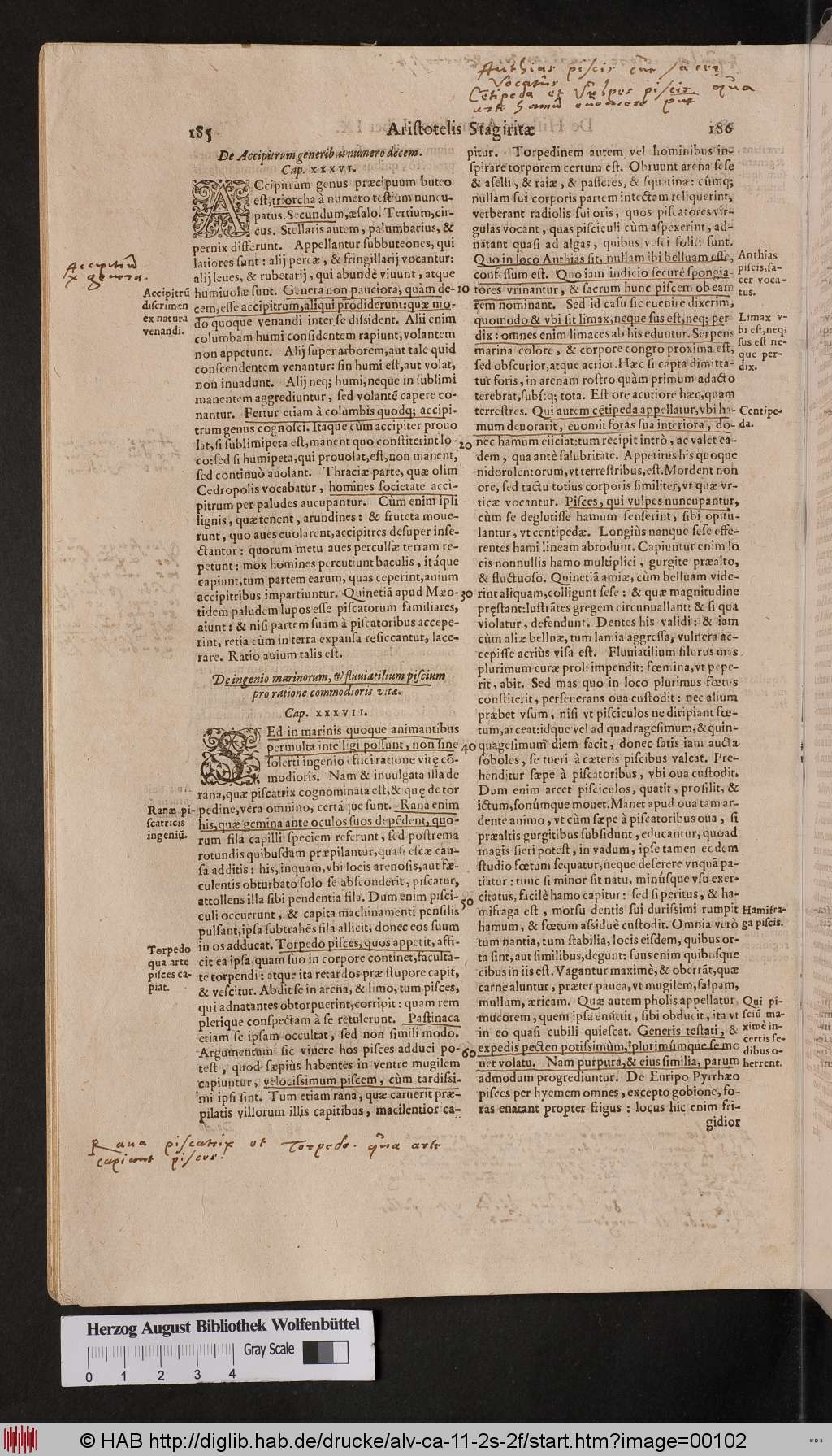 http://diglib.hab.de/drucke/alv-ca-11-2s-2f/00102.jpg