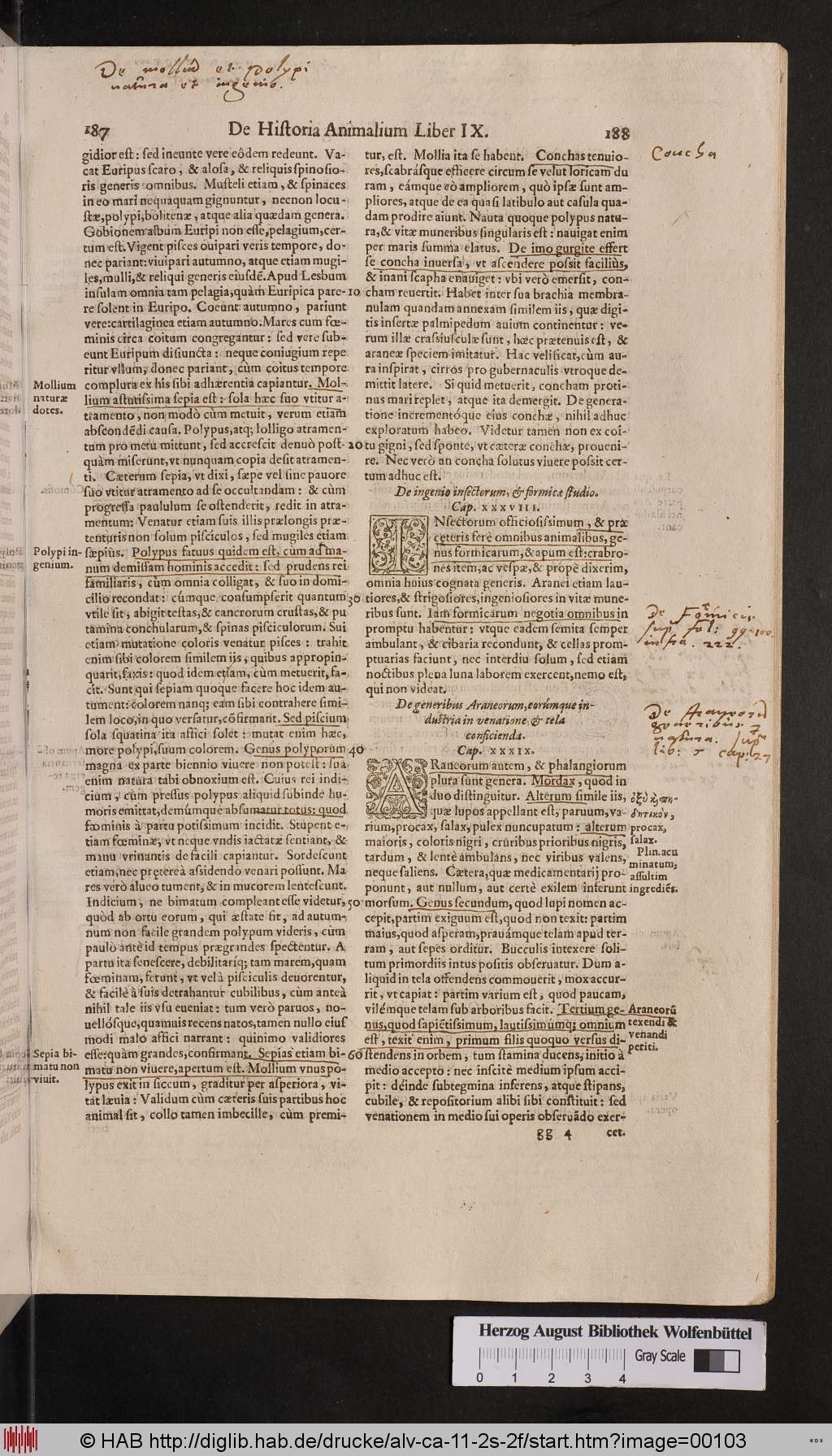 http://diglib.hab.de/drucke/alv-ca-11-2s-2f/00103.jpg