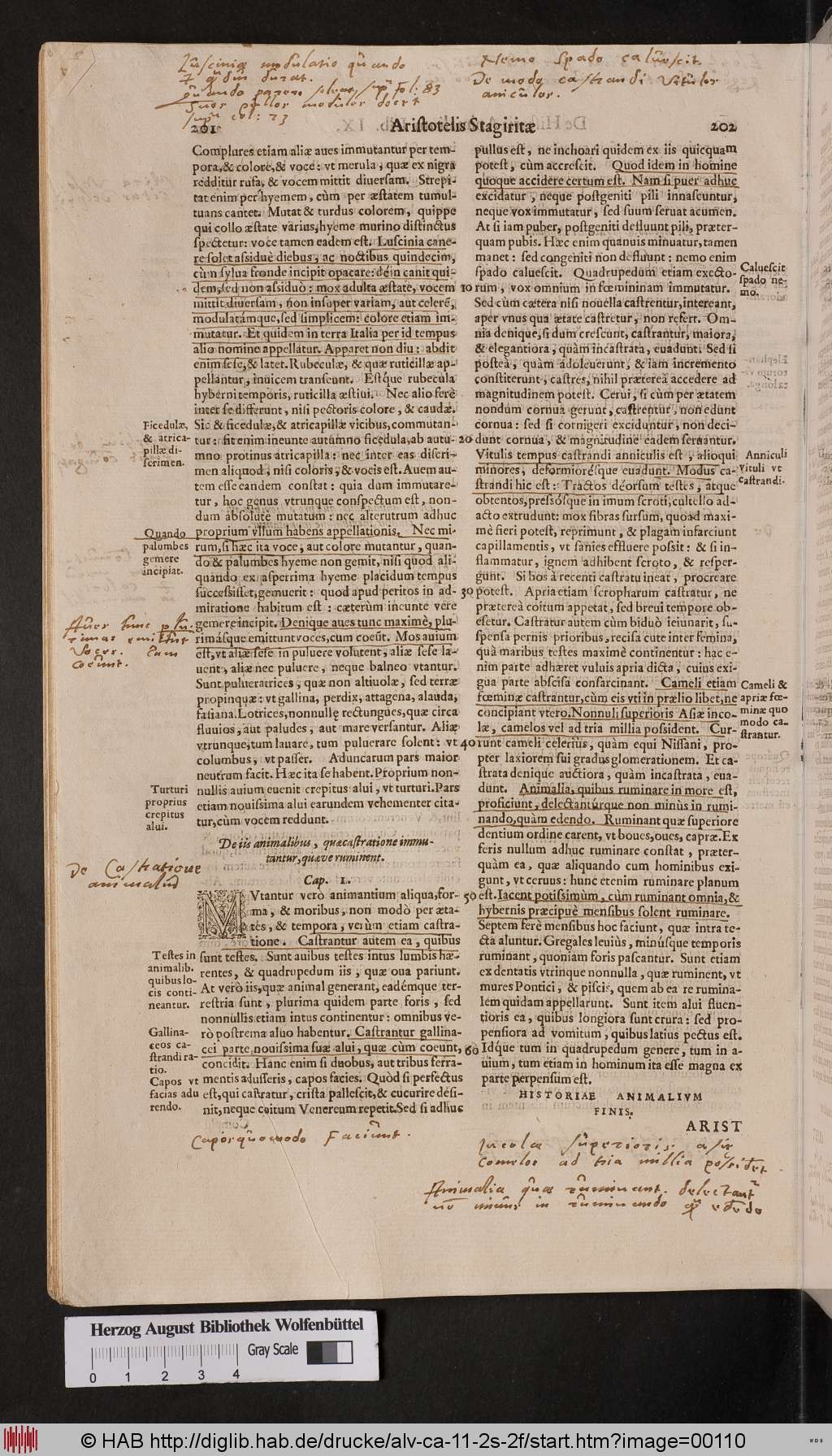 http://diglib.hab.de/drucke/alv-ca-11-2s-2f/00110.jpg