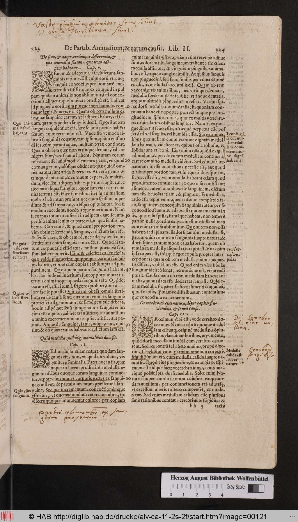 http://diglib.hab.de/drucke/alv-ca-11-2s-2f/00121.jpg