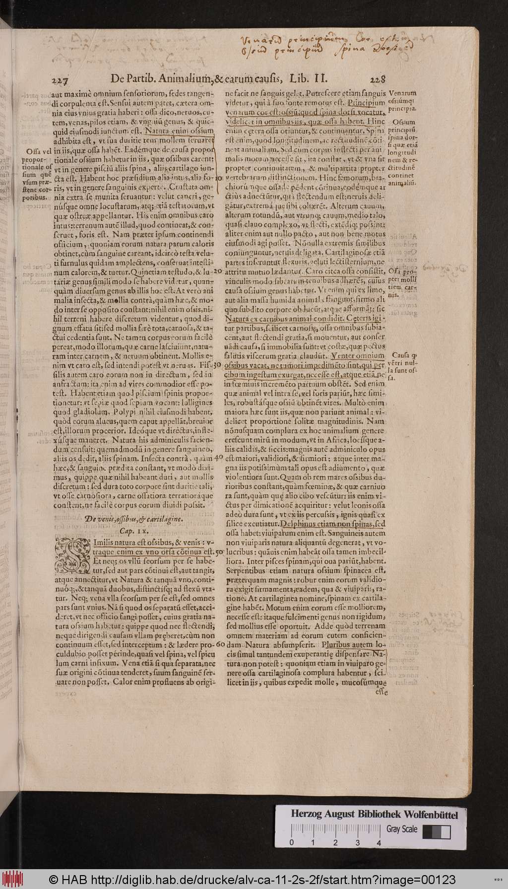 http://diglib.hab.de/drucke/alv-ca-11-2s-2f/00123.jpg