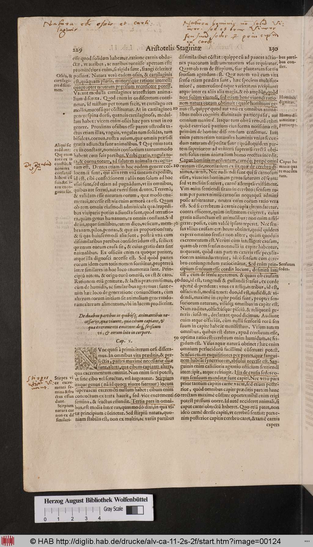 http://diglib.hab.de/drucke/alv-ca-11-2s-2f/00124.jpg