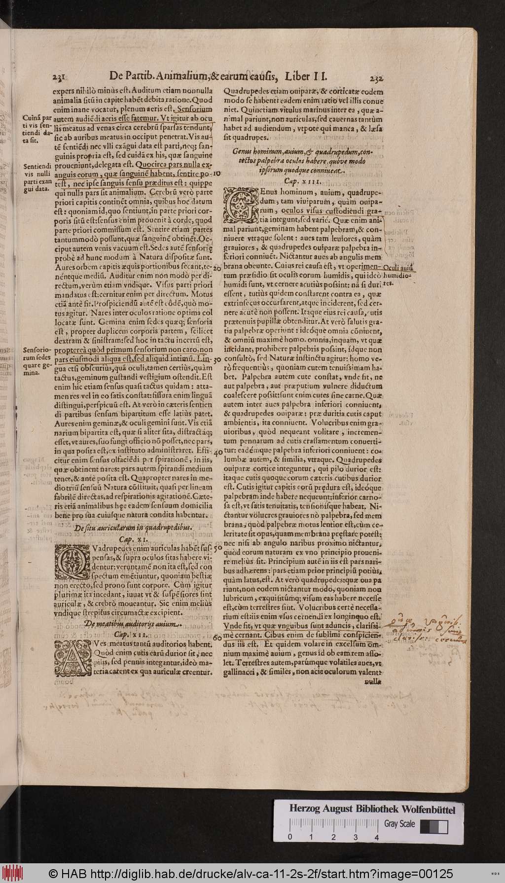 http://diglib.hab.de/drucke/alv-ca-11-2s-2f/00125.jpg