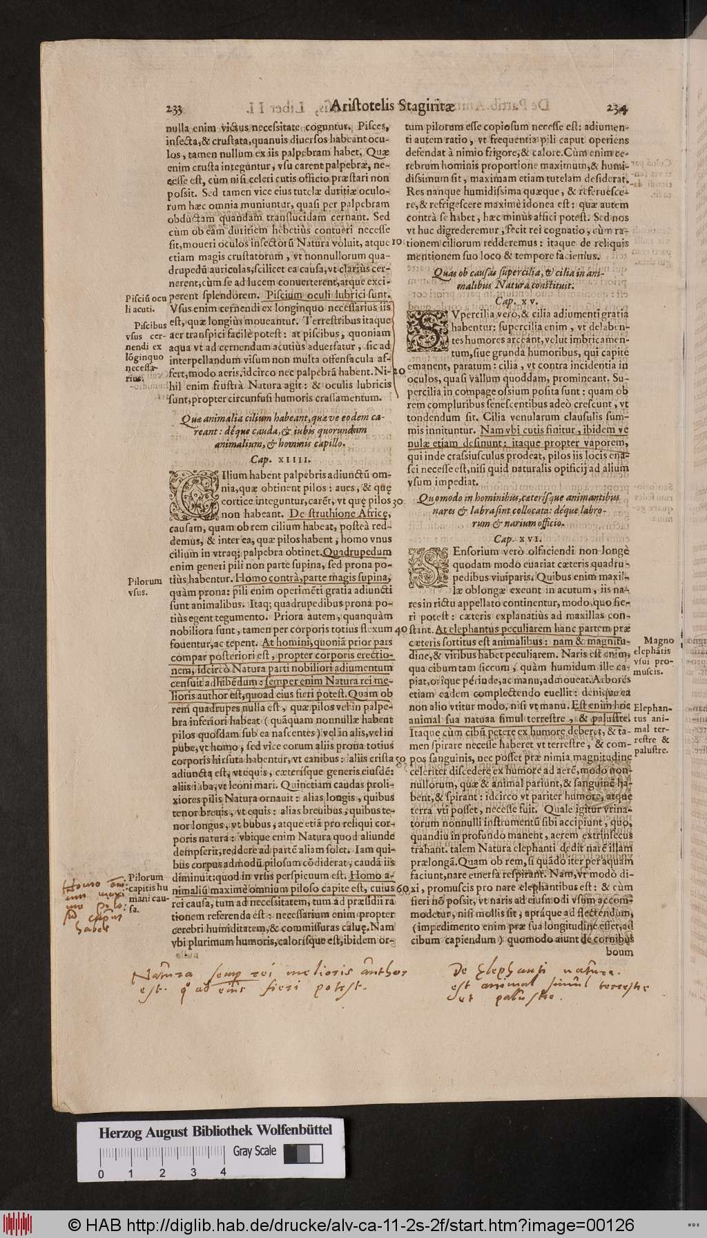 http://diglib.hab.de/drucke/alv-ca-11-2s-2f/00126.jpg