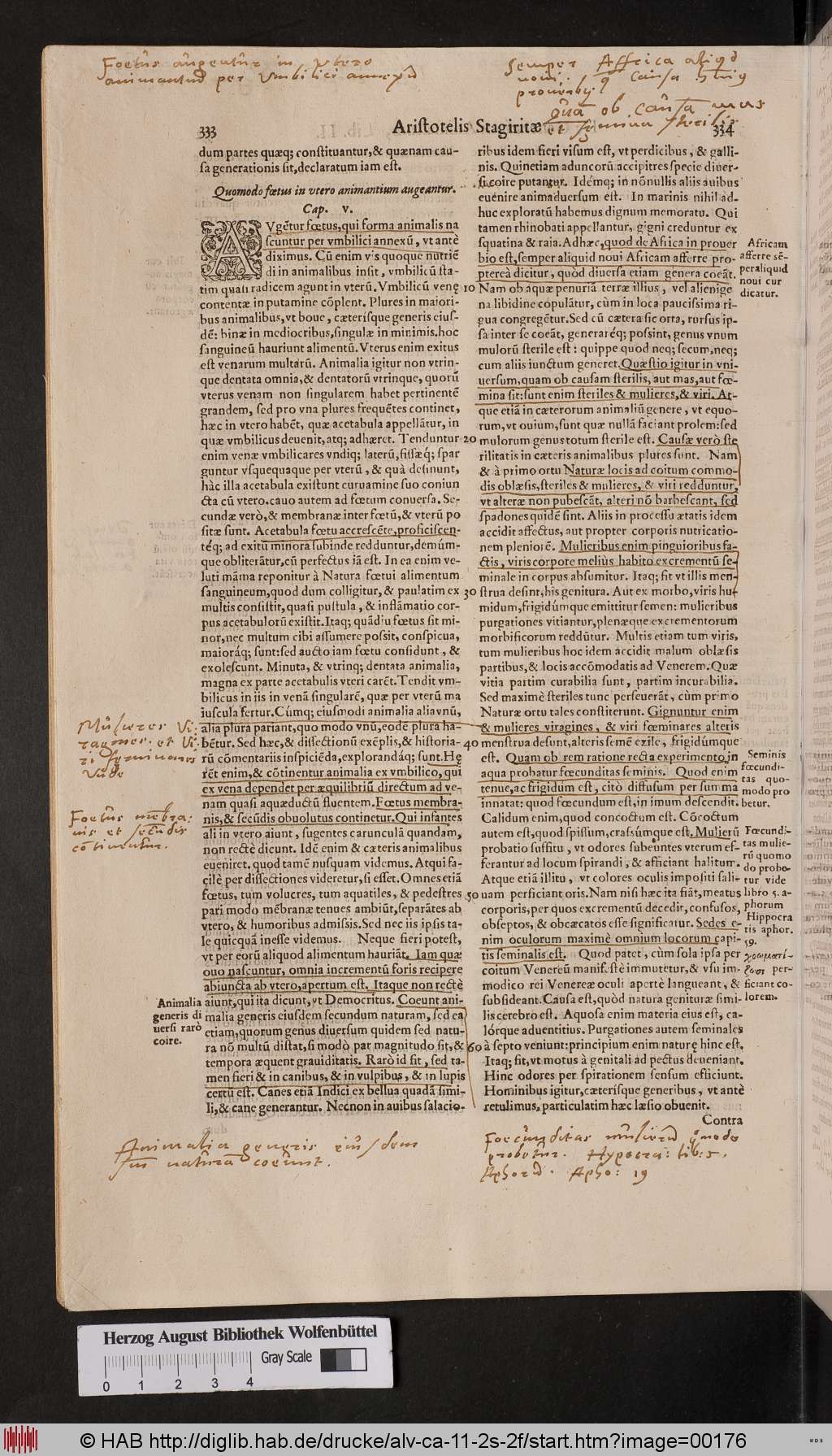 http://diglib.hab.de/drucke/alv-ca-11-2s-2f/00176.jpg