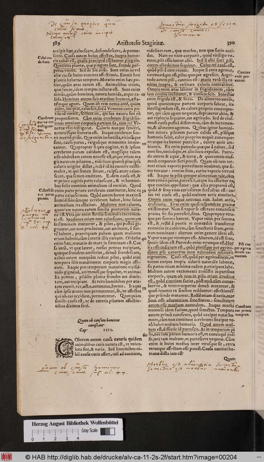 http://diglib.hab.de/drucke/alv-ca-11-2s-2f/00204.jpg