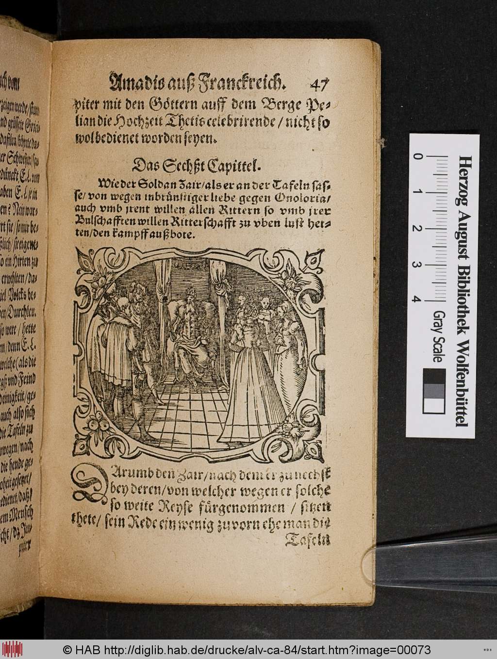 http://diglib.hab.de/drucke/alv-ca-84/00073.jpg