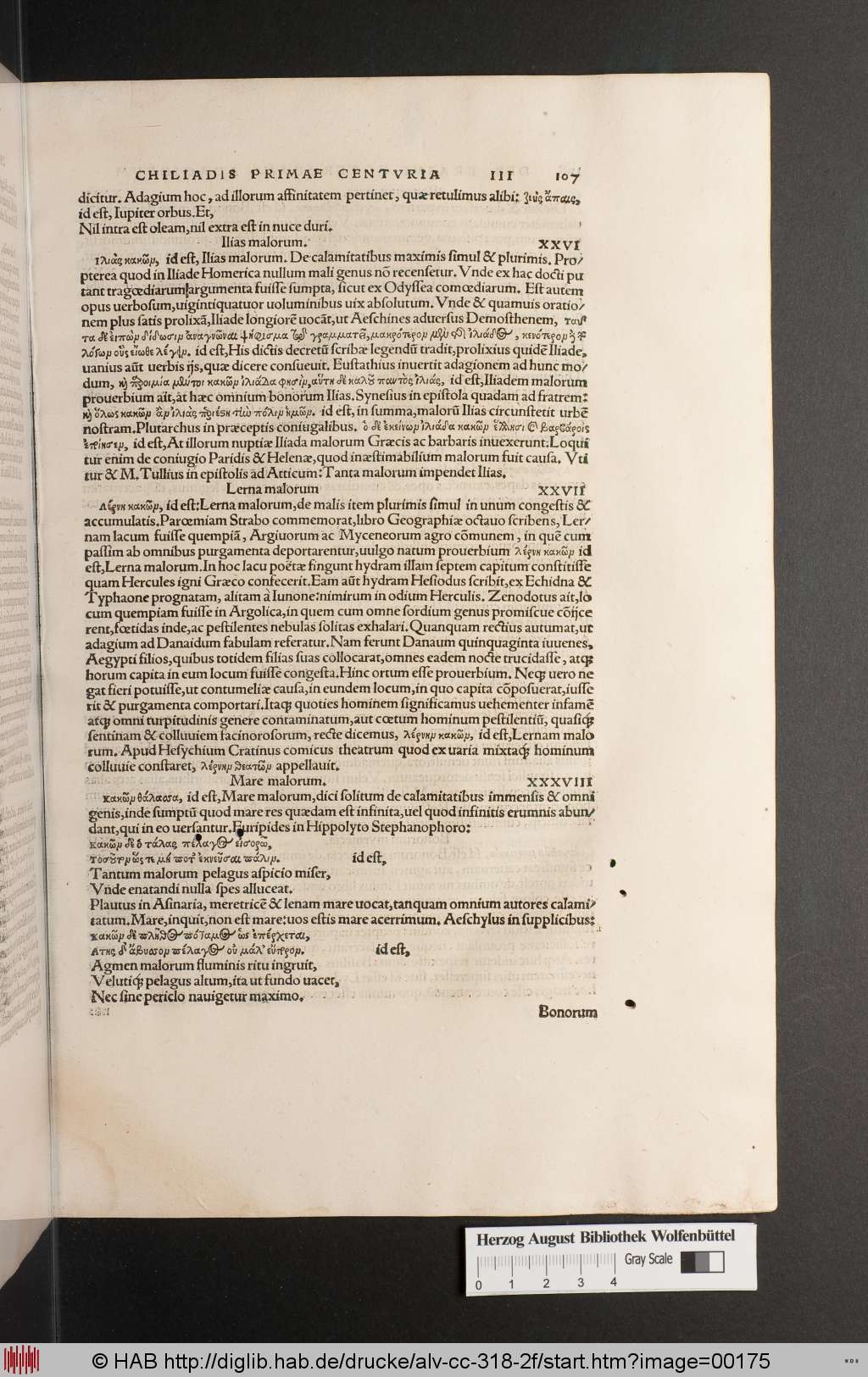 http://diglib.hab.de/drucke/alv-cc-318-2f/00175.jpg