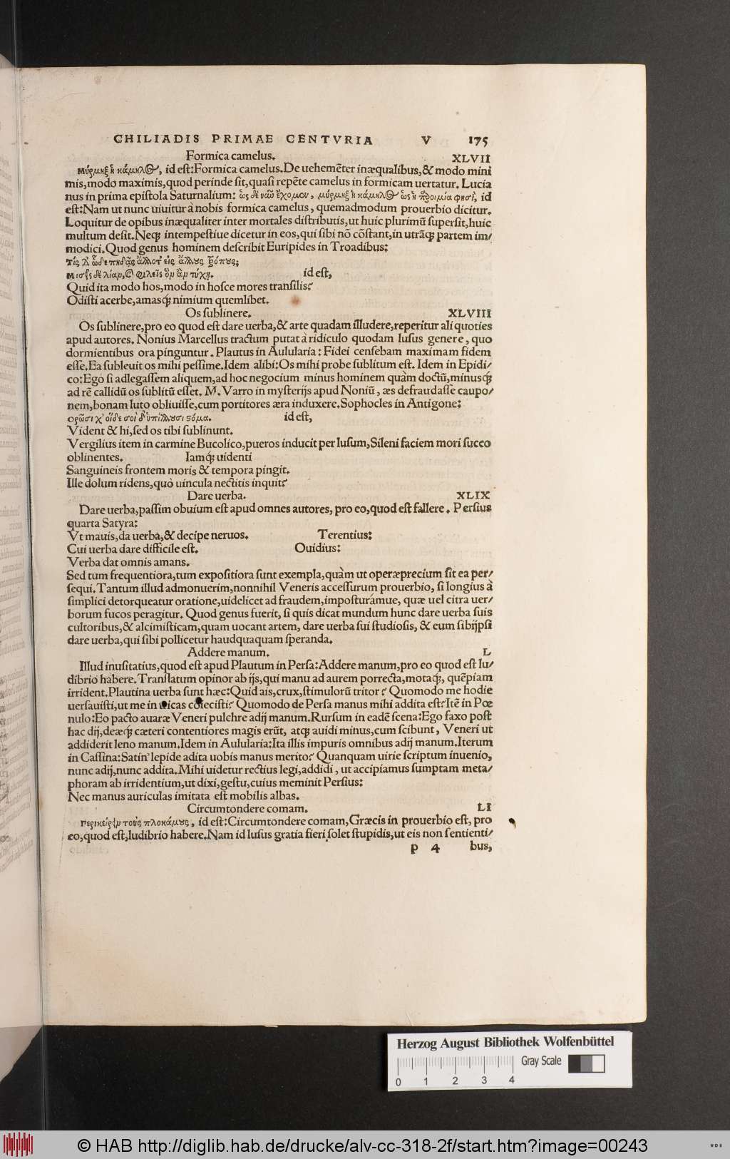 http://diglib.hab.de/drucke/alv-cc-318-2f/00243.jpg