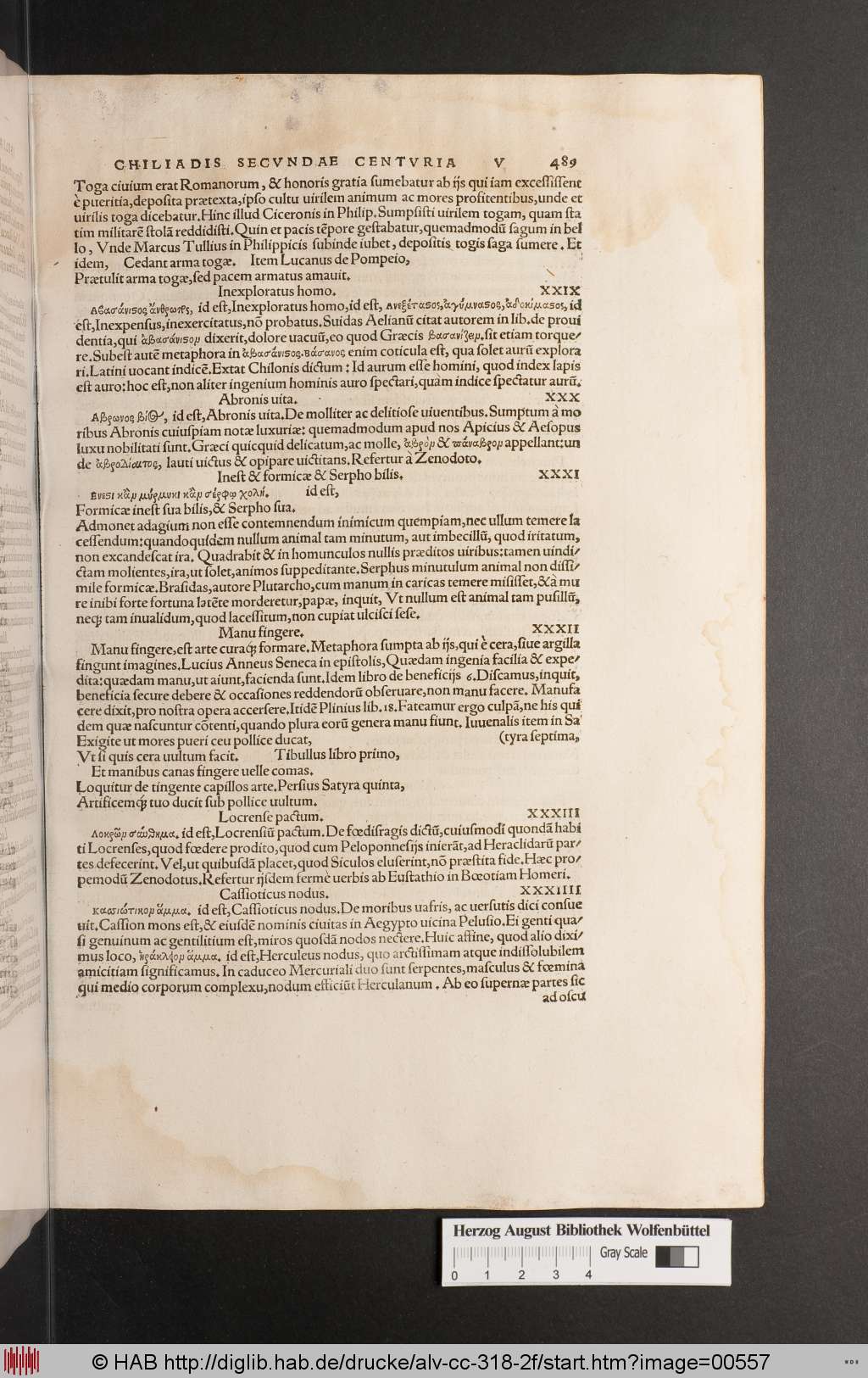 http://diglib.hab.de/drucke/alv-cc-318-2f/00557.jpg