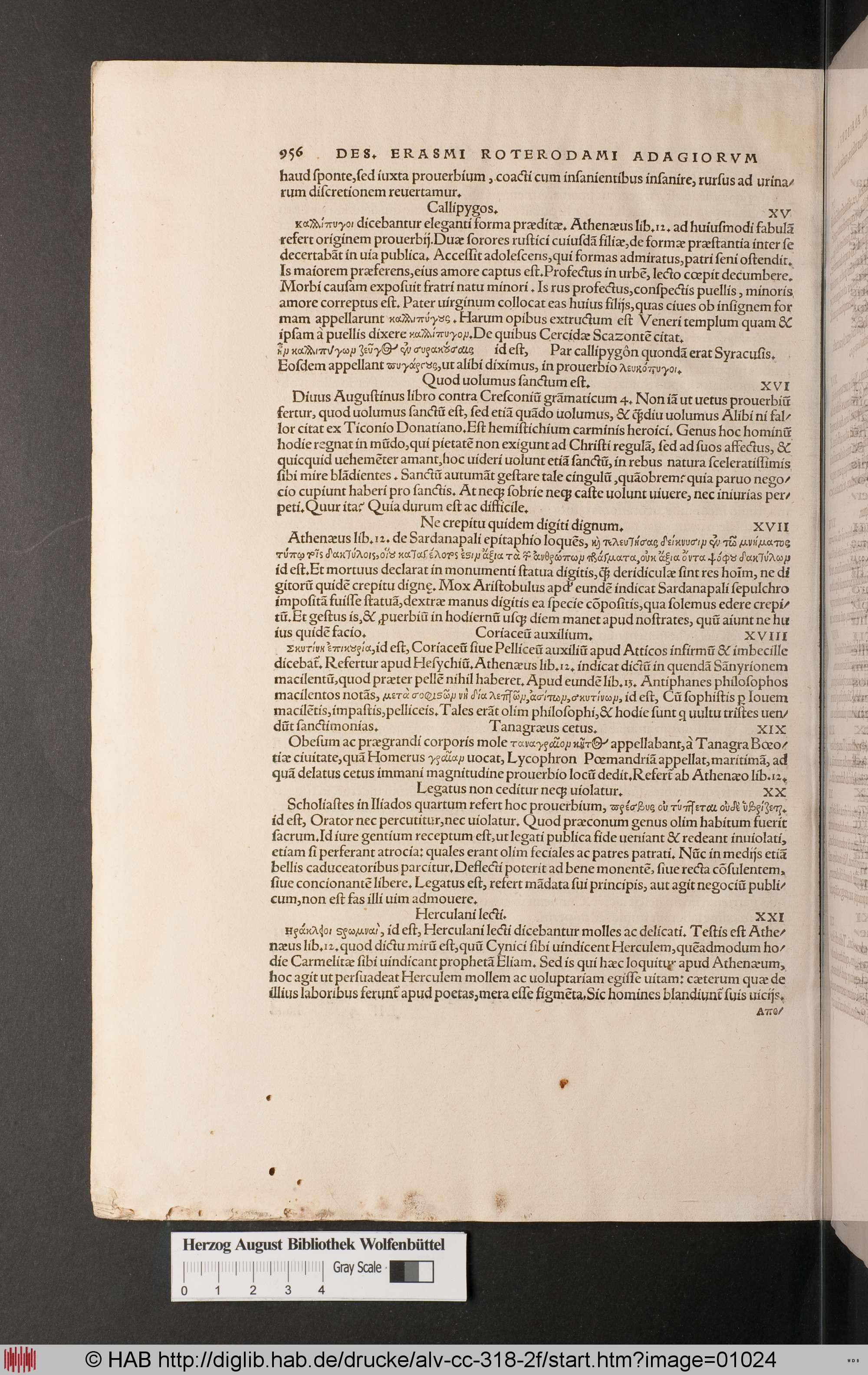 http://diglib.hab.de/drucke/alv-cc-318-2f/max/01024.jpg