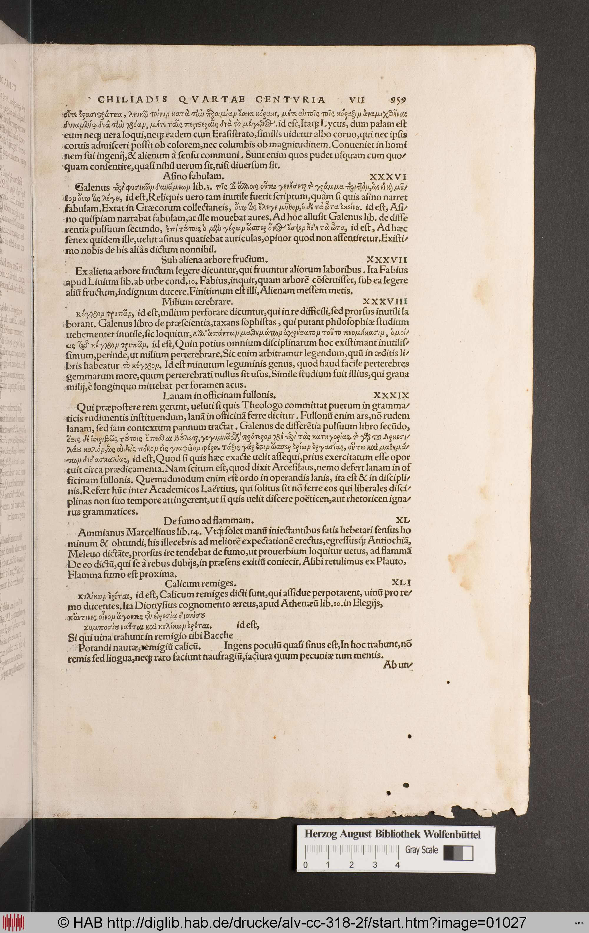 http://diglib.hab.de/drucke/alv-cc-318-2f/max/01027.jpg