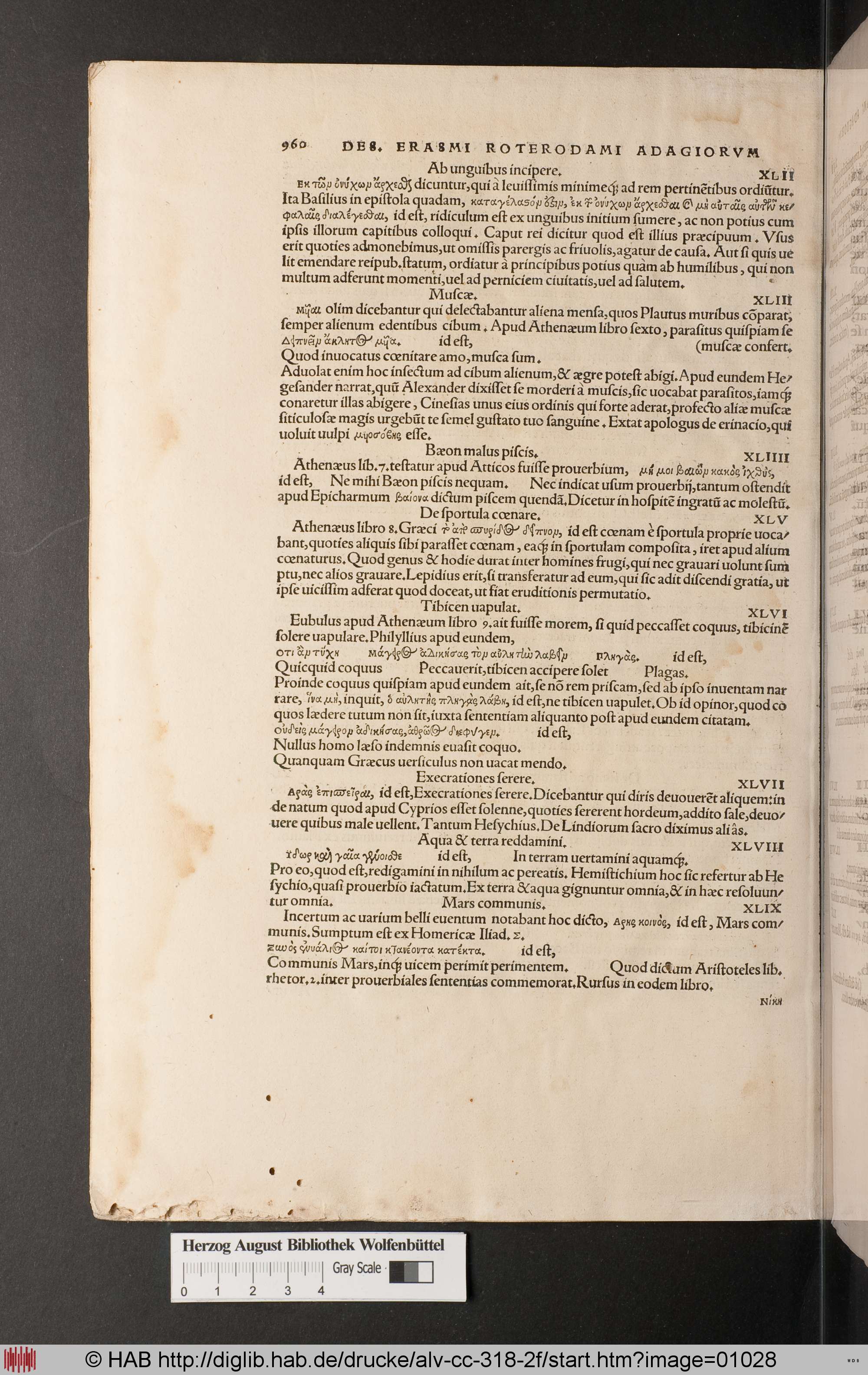 http://diglib.hab.de/drucke/alv-cc-318-2f/max/01028.jpg