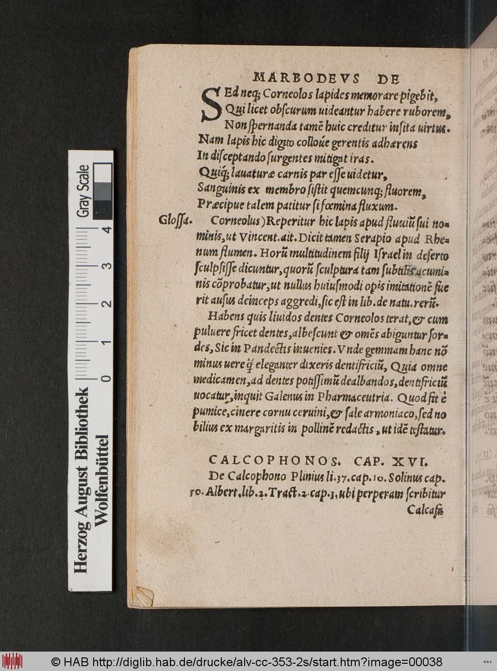 http://diglib.hab.de/drucke/alv-cc-353-2s/00038.jpg