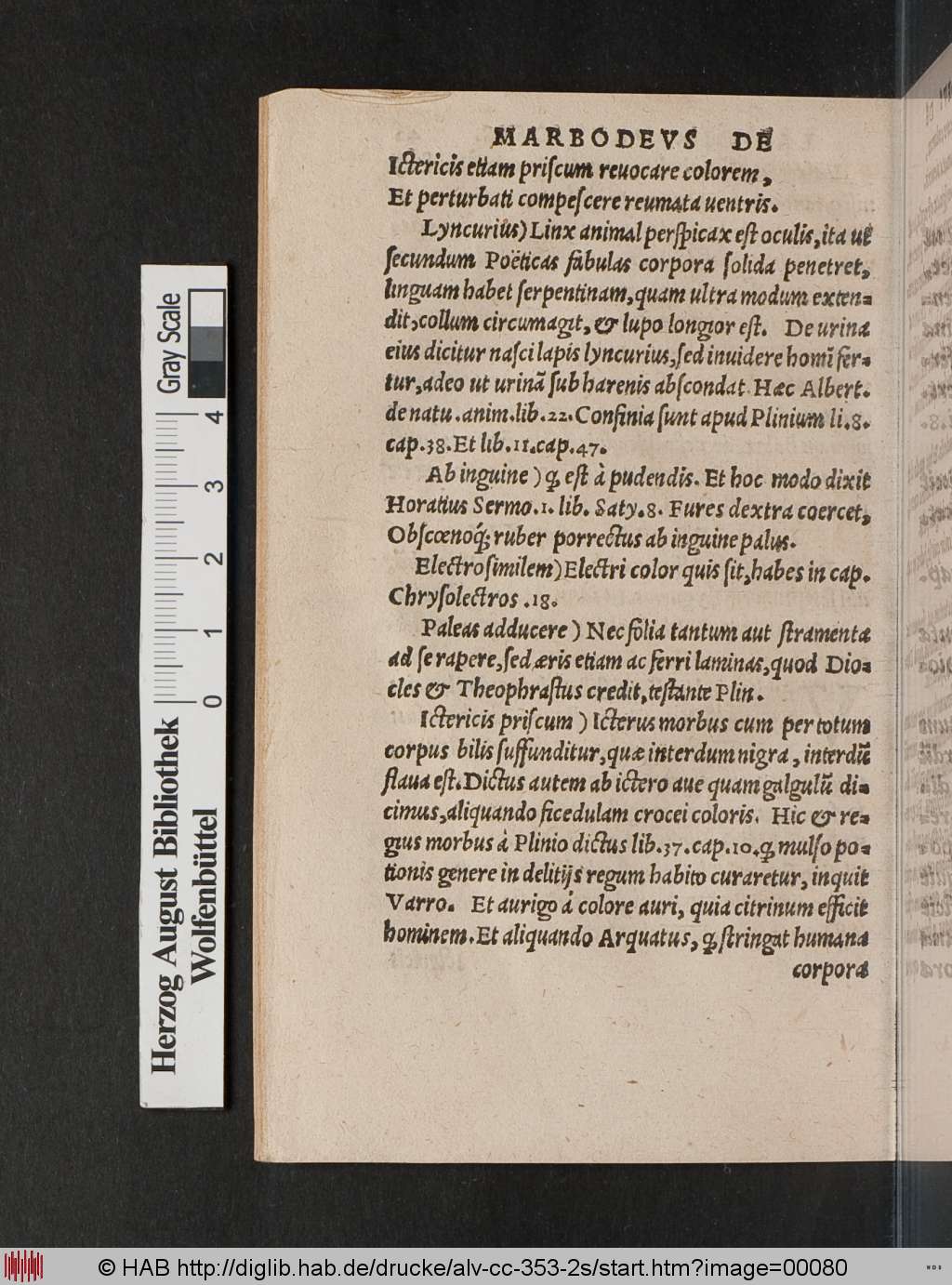 http://diglib.hab.de/drucke/alv-cc-353-2s/00080.jpg