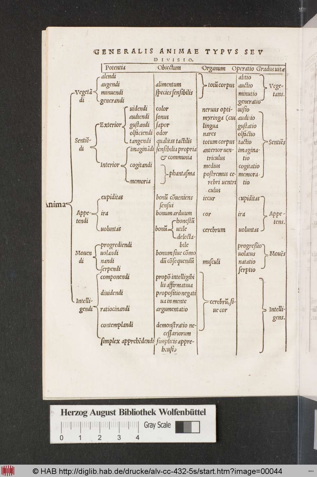 http://diglib.hab.de/drucke/alv-cc-432-5s/00044.jpg