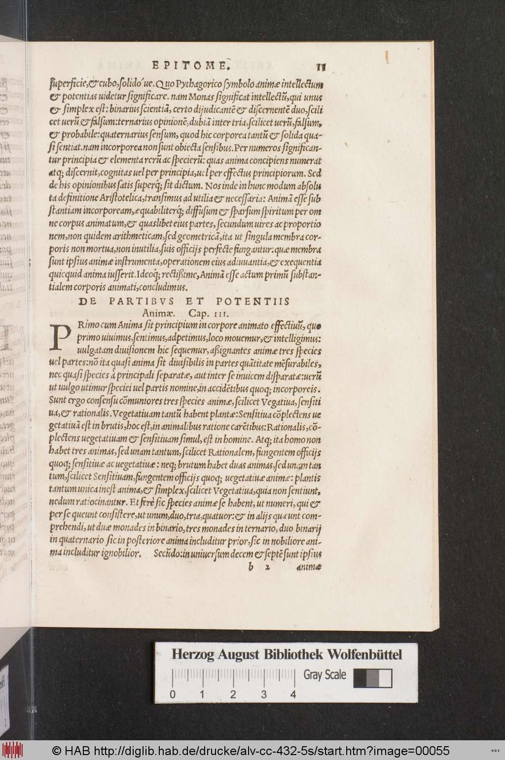 http://diglib.hab.de/drucke/alv-cc-432-5s/00055.jpg
