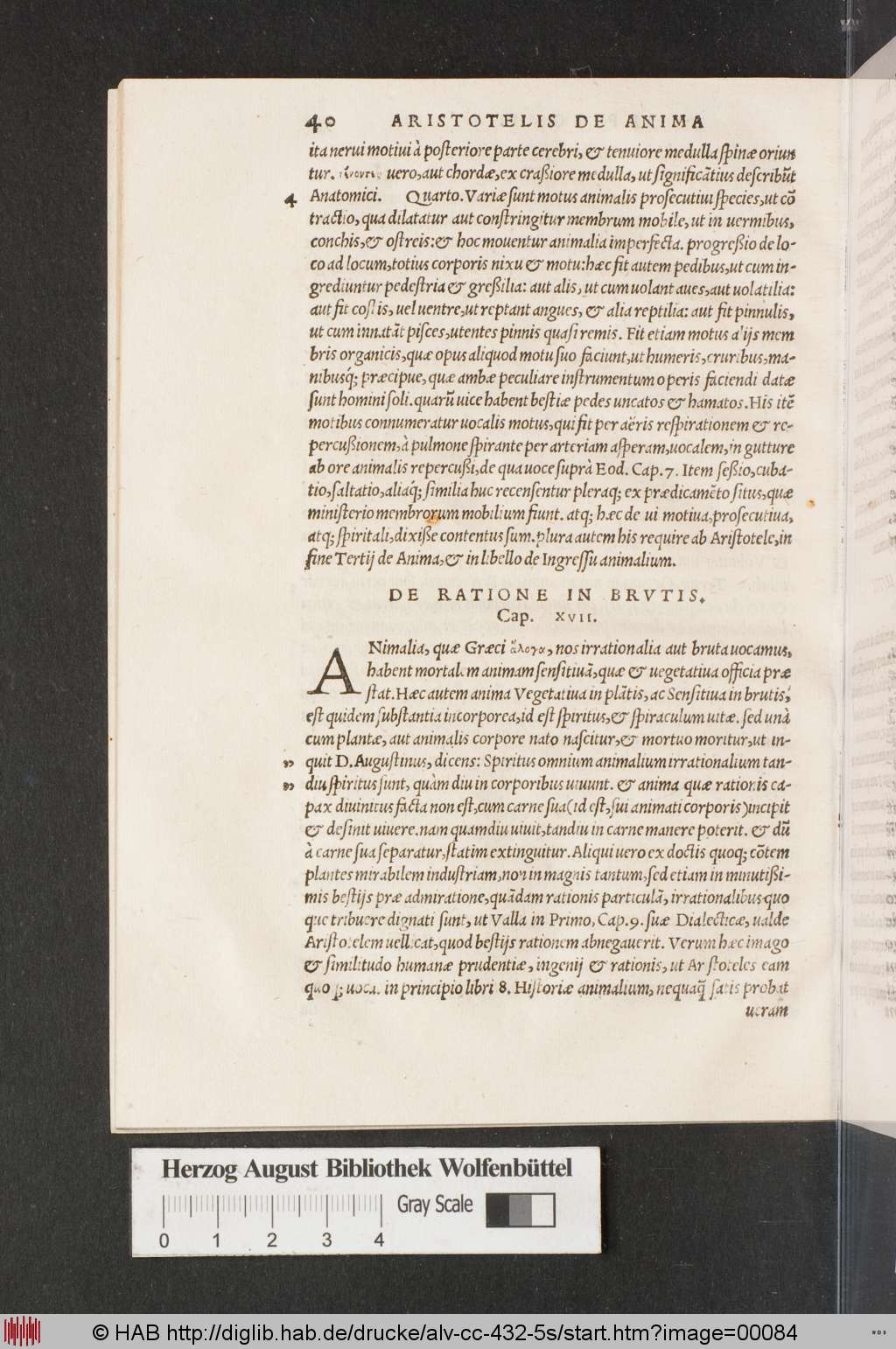 http://diglib.hab.de/drucke/alv-cc-432-5s/00084.jpg