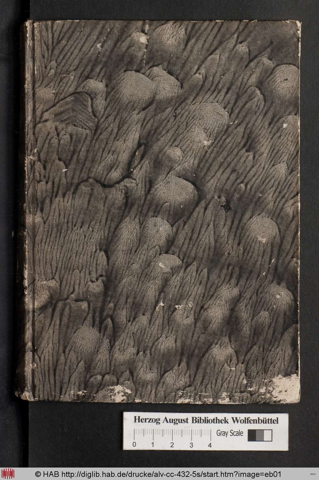 http://diglib.hab.de/drucke/alv-cc-432-5s/eb01.jpg