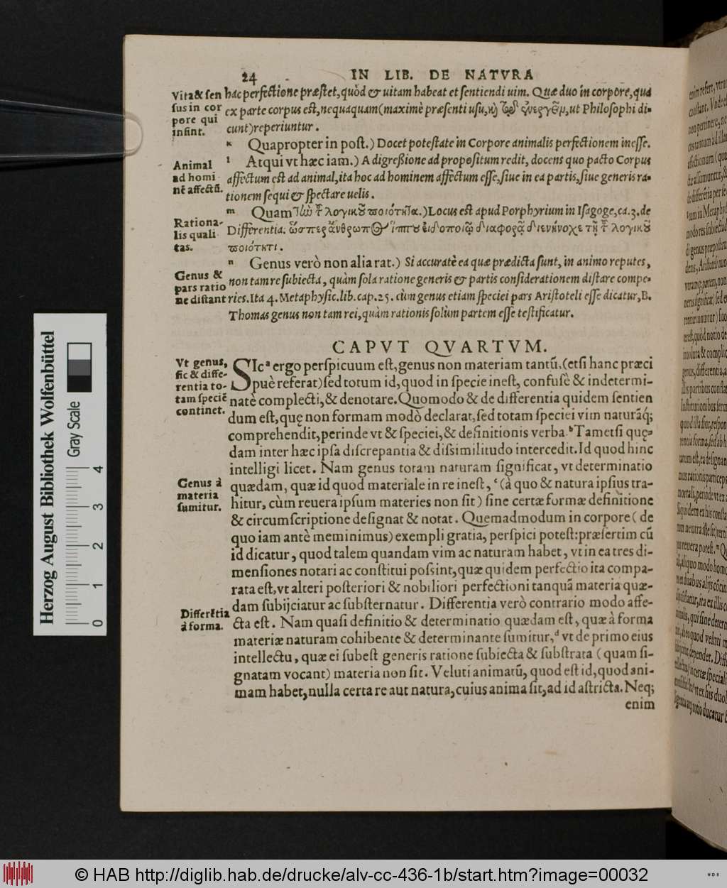 http://diglib.hab.de/drucke/alv-cc-436-1b/00032.jpg